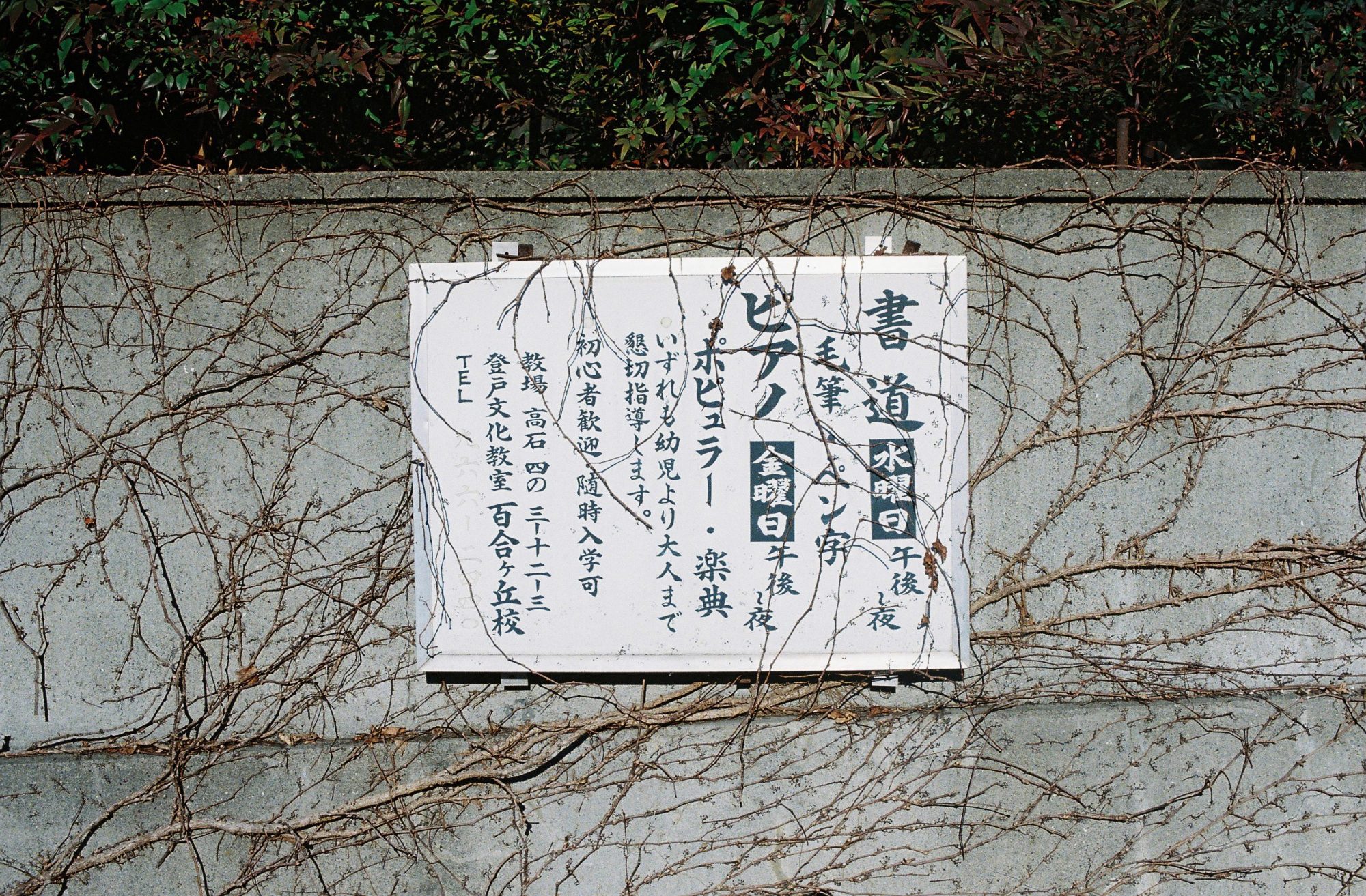 生きているだけでサバゲー状態なんだから／中里虎鉄