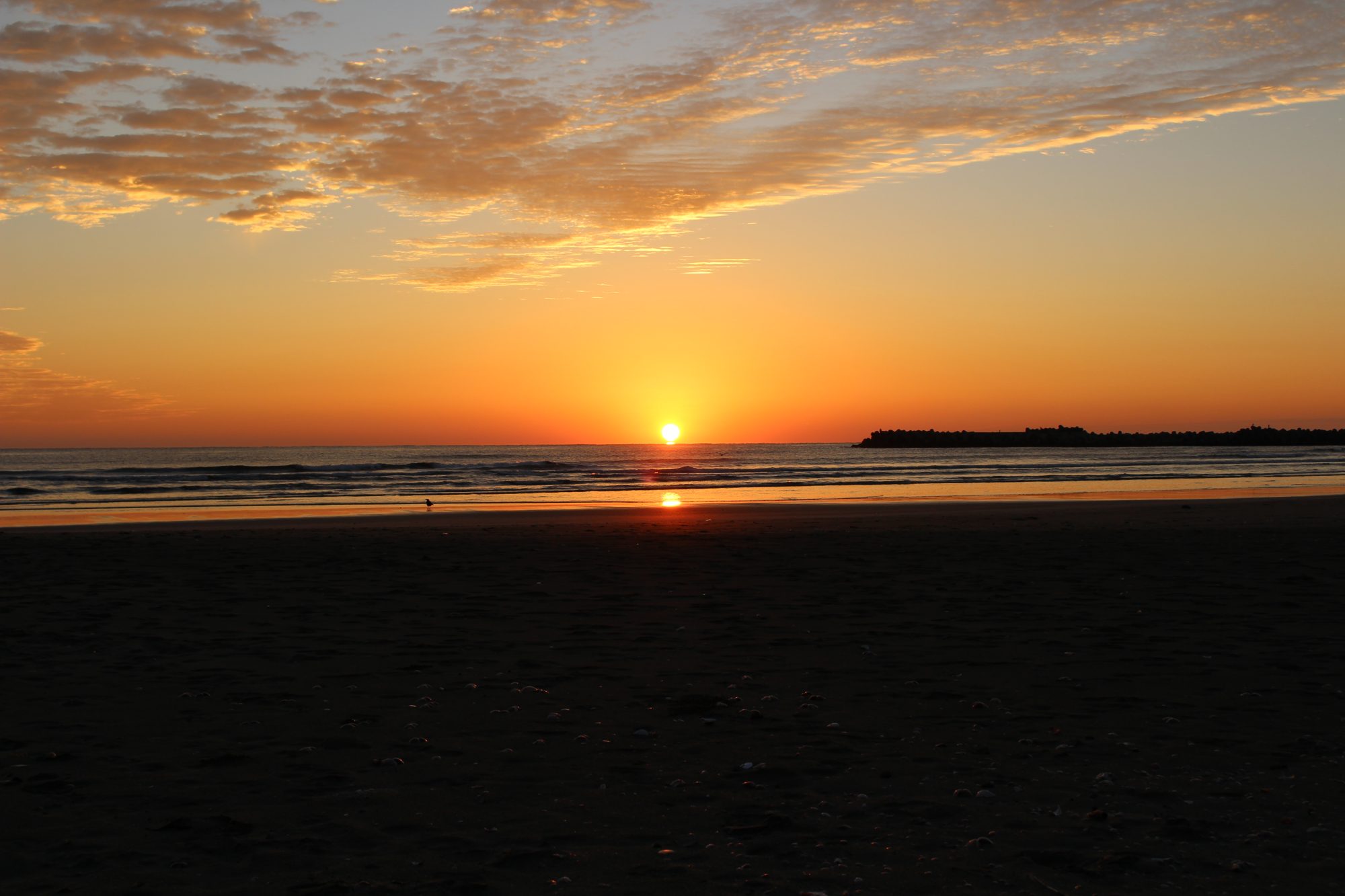正月はハレの日だというけれど／黒木萌