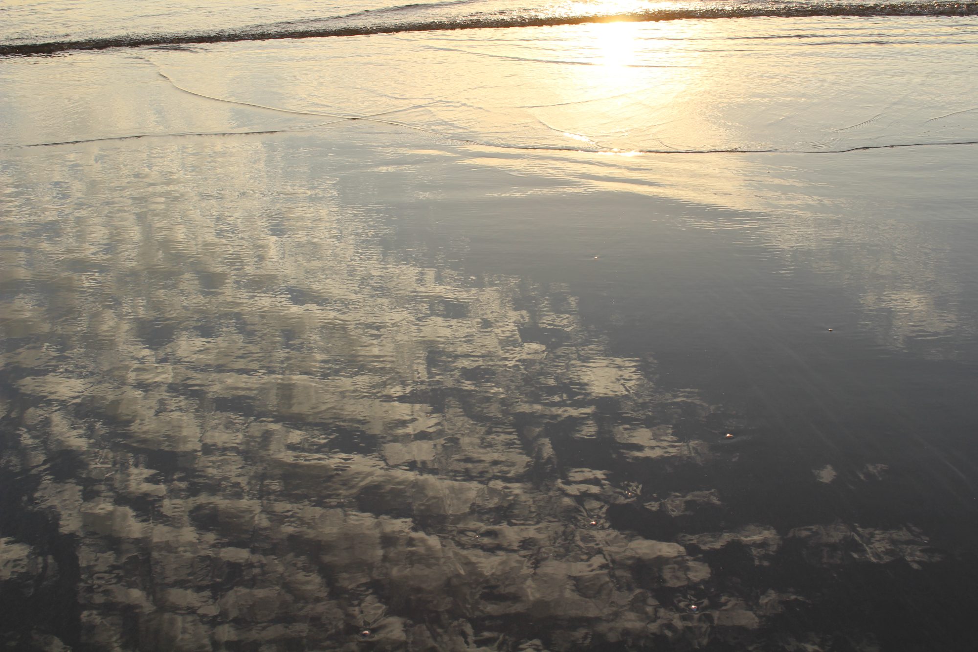 正月はハレの日だというけれど／黒木萌