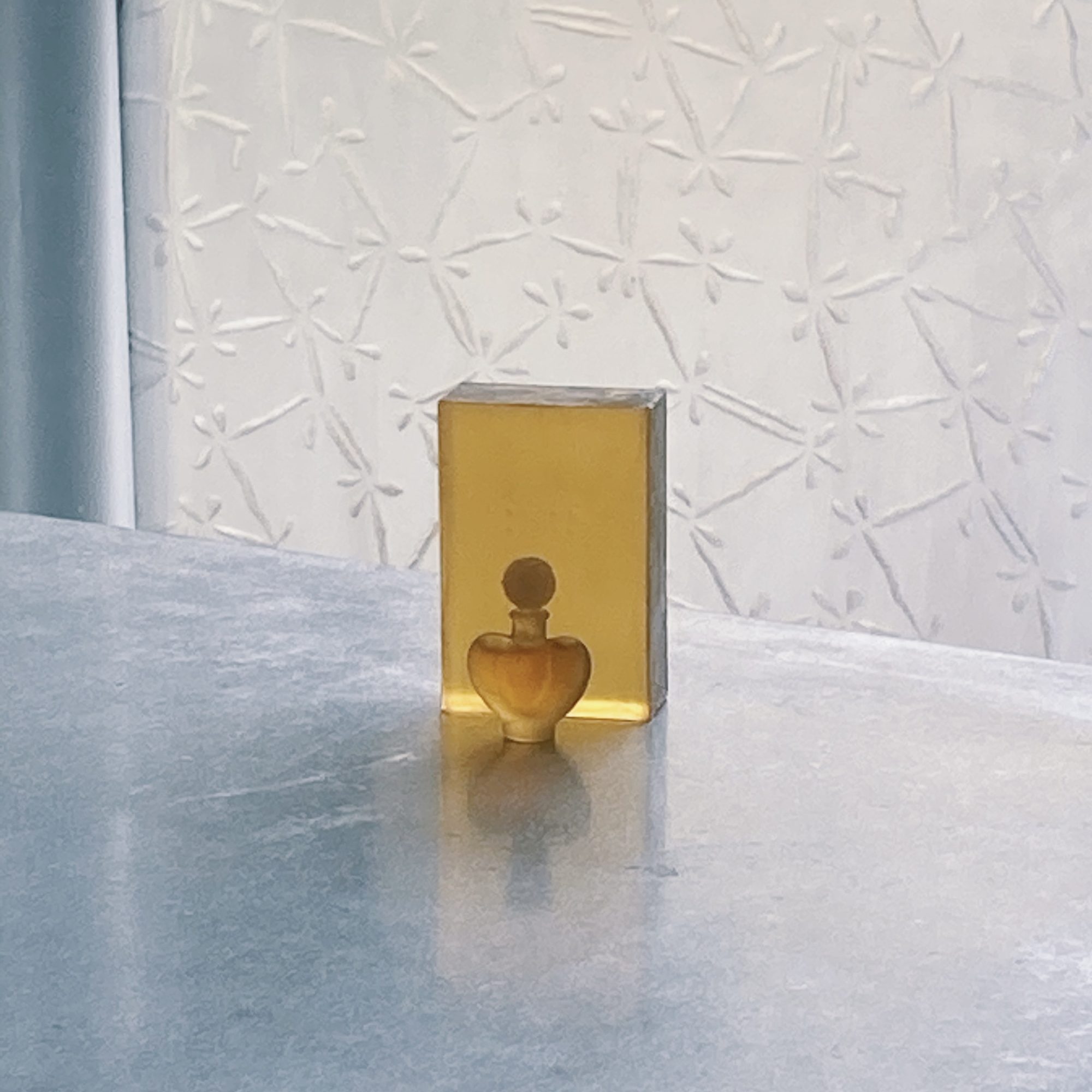 たがいに頷き合えているうれしさ　ぜんたい的な生活／にしかわあゆ