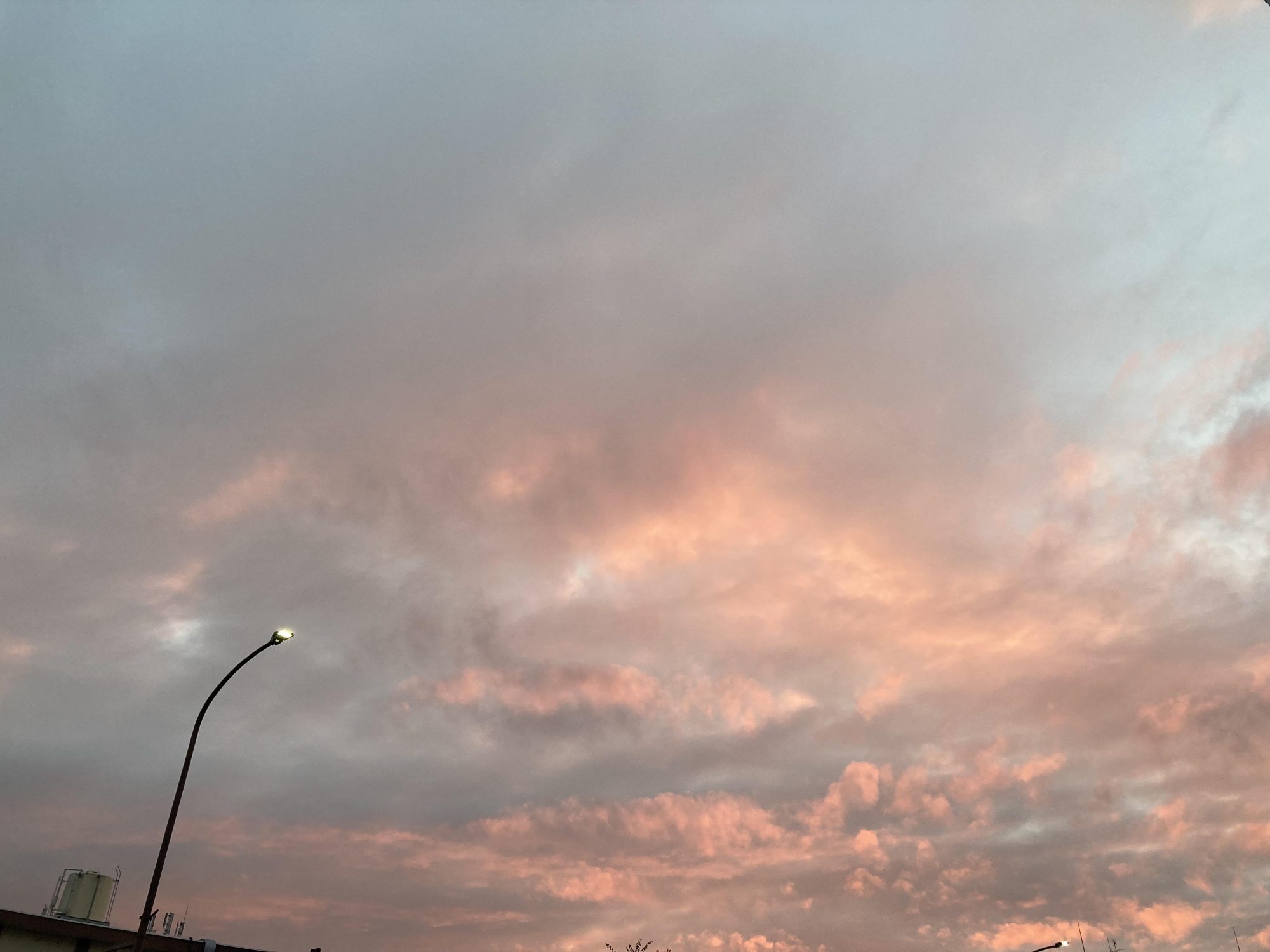 隣を繋ぎとめるものは／小萩海