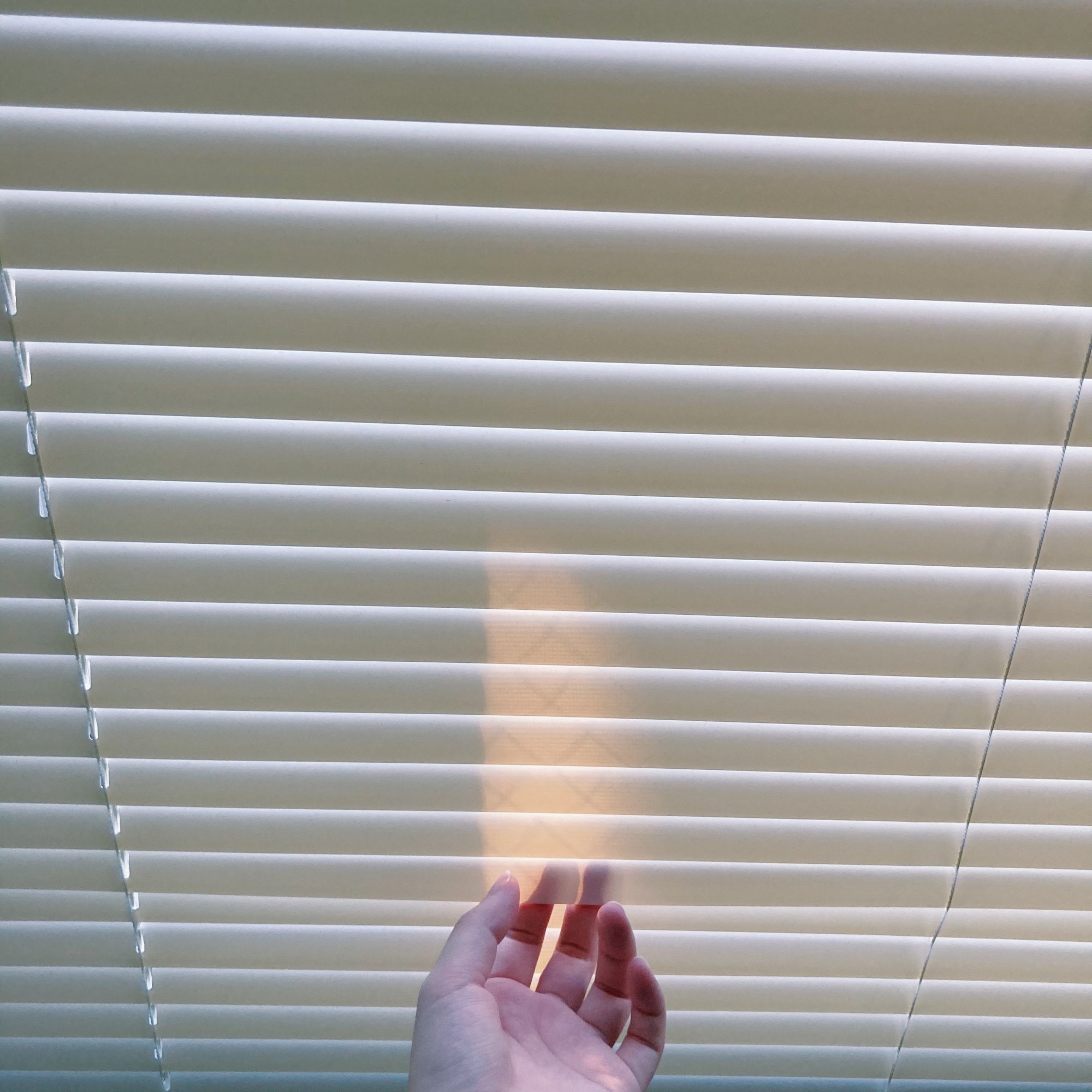 はじまりの見えない巨大な水槽　わからないことをわかっている／にしかわあゆ