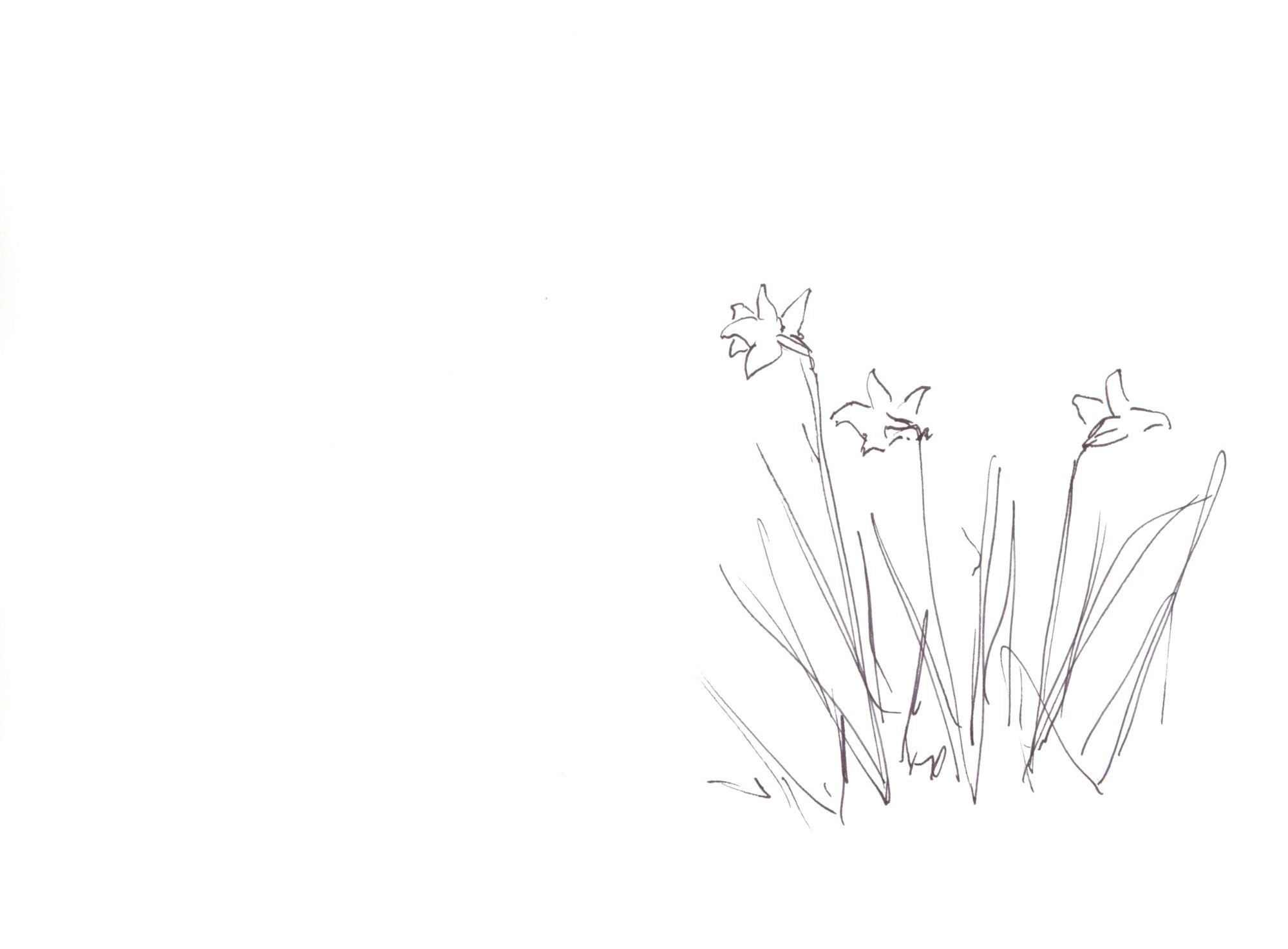 坂の途中の水仙の花、ずっとまえに見た花/小林エリカ