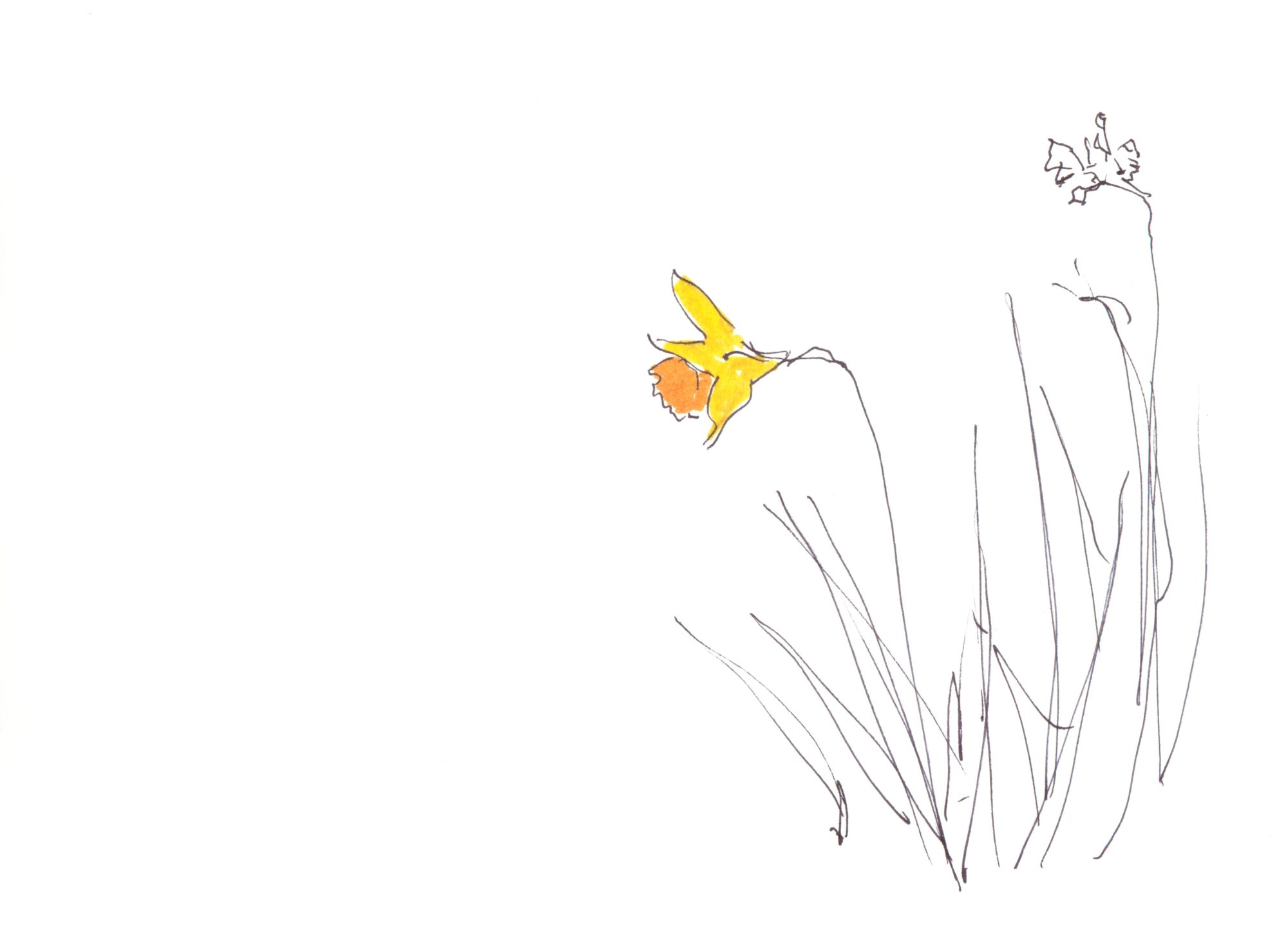 坂の途中の水仙の花、ずっとまえに見た花/小林エリカ