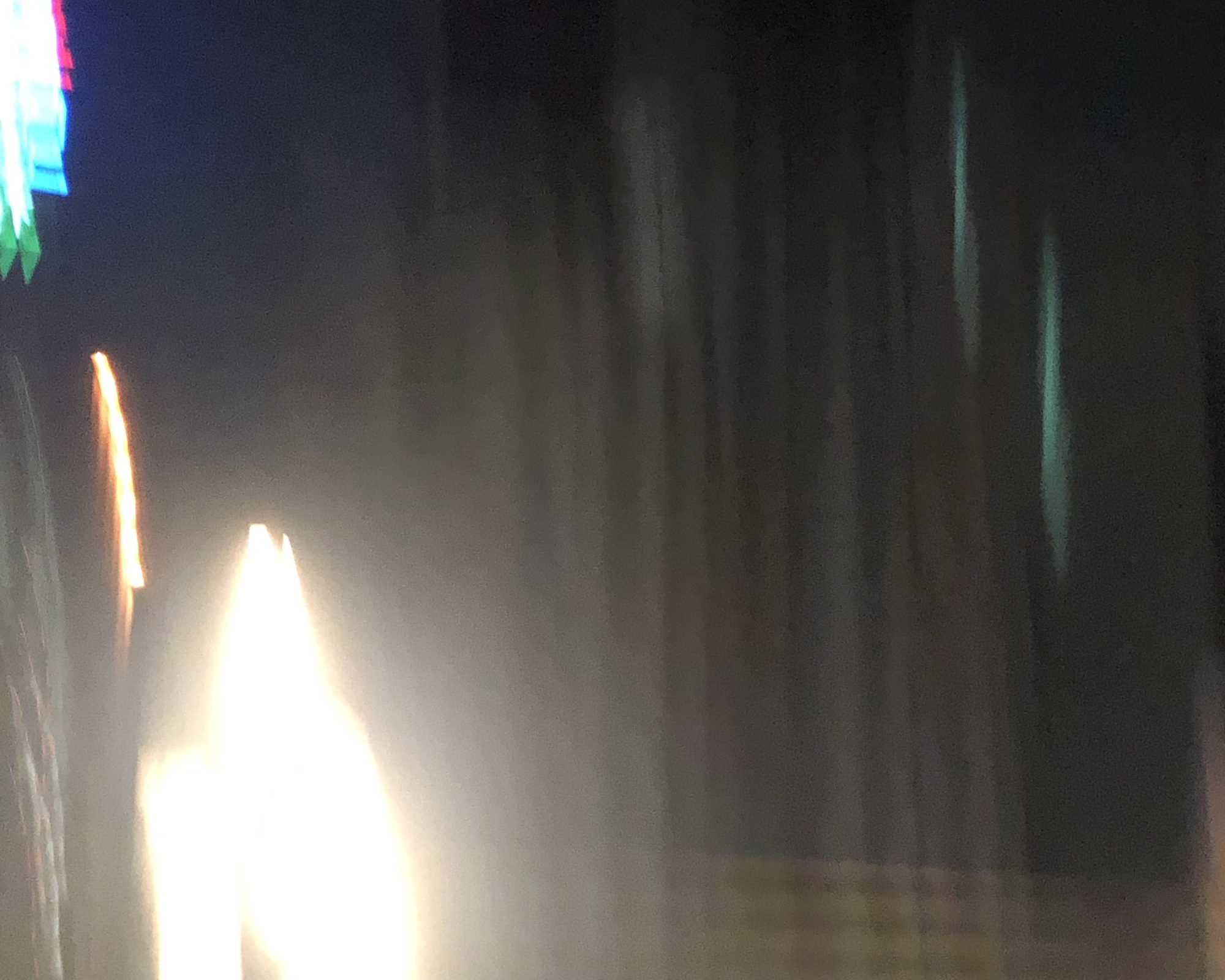 猫には猫の、人には人の／kuu