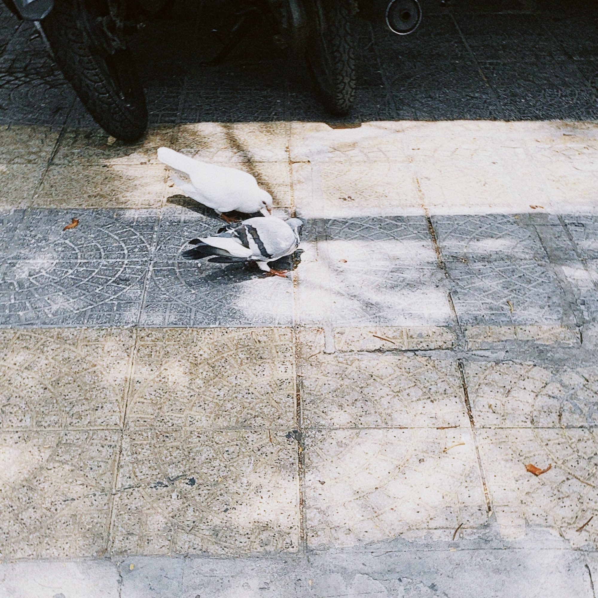 人それぞれの自由の形。あなたにとってのFree your mindって？40人の声（後編）