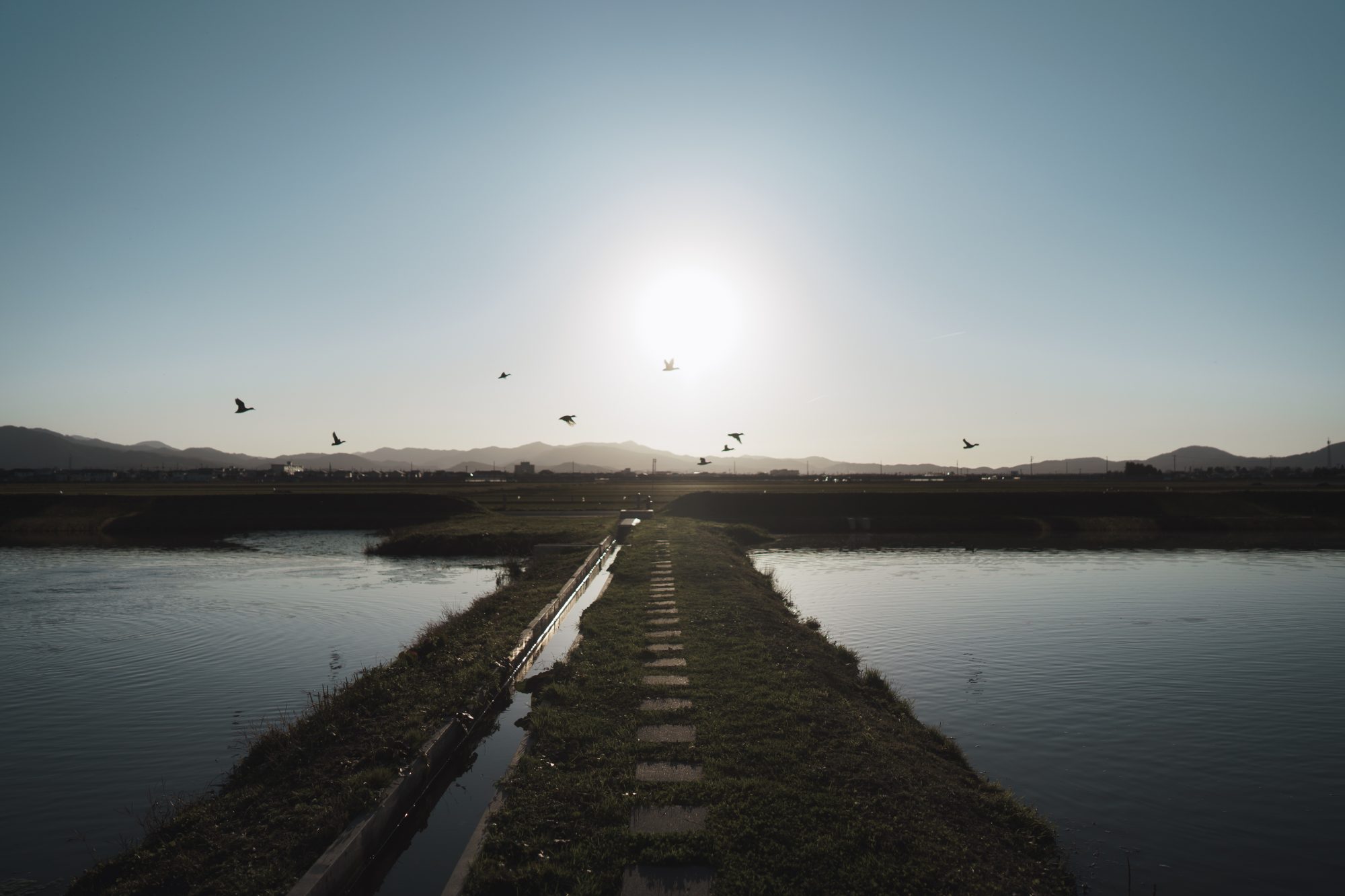 人それぞれの自由の形。あなたにとってのFree your mindって？40人の声（前編）