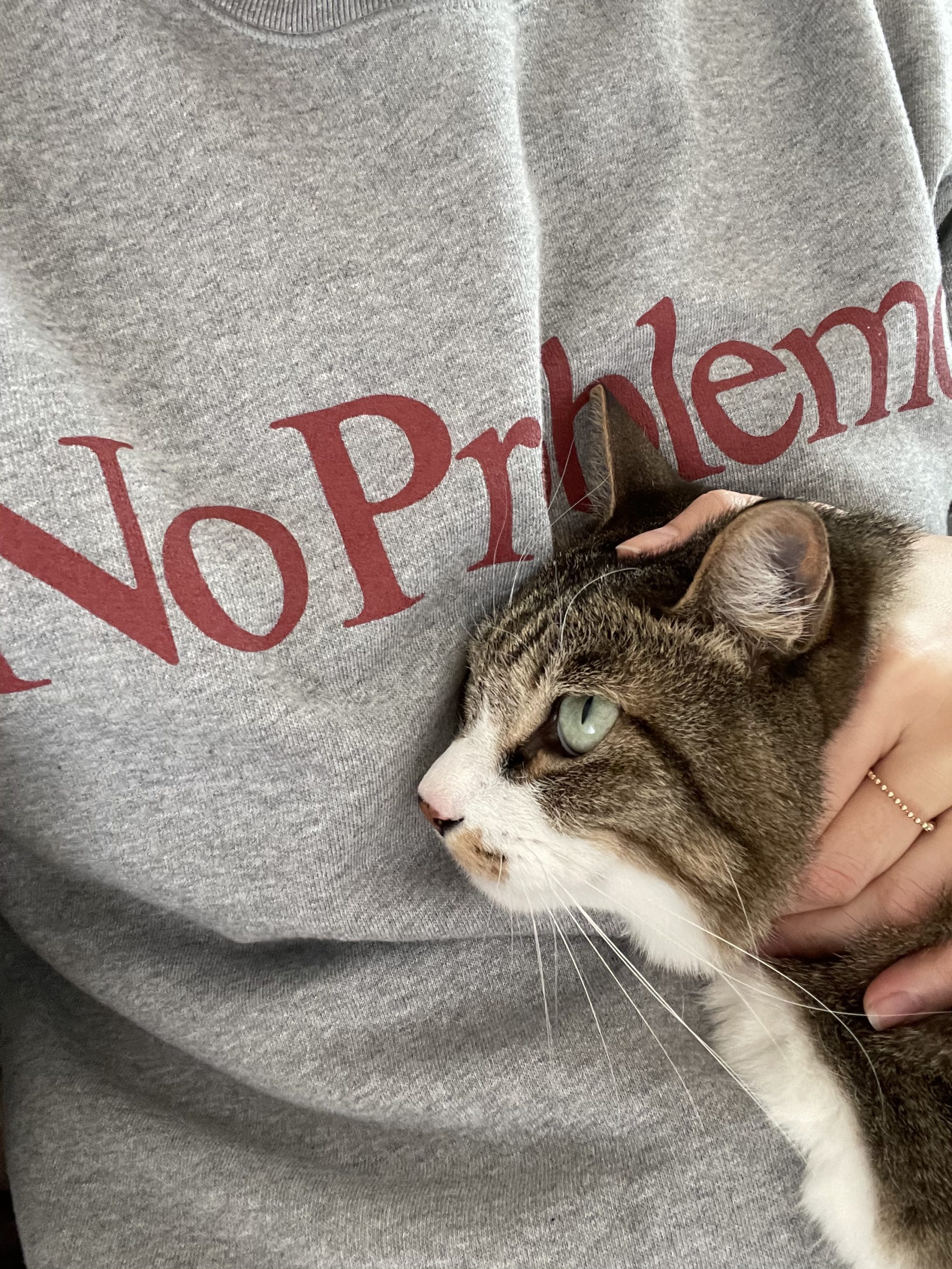 人それぞれの自由の形。あなたにとってのFree your mindって？40人の声（前編）