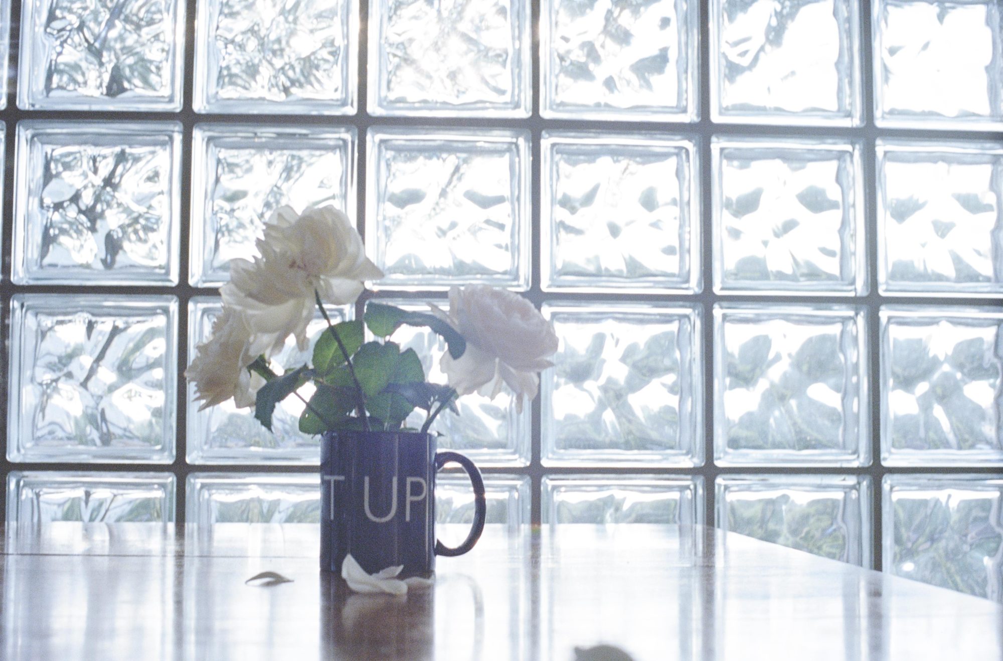 石田真澄に聞く。花を撮ること、自分の写真に向き合うこと。5つの質問