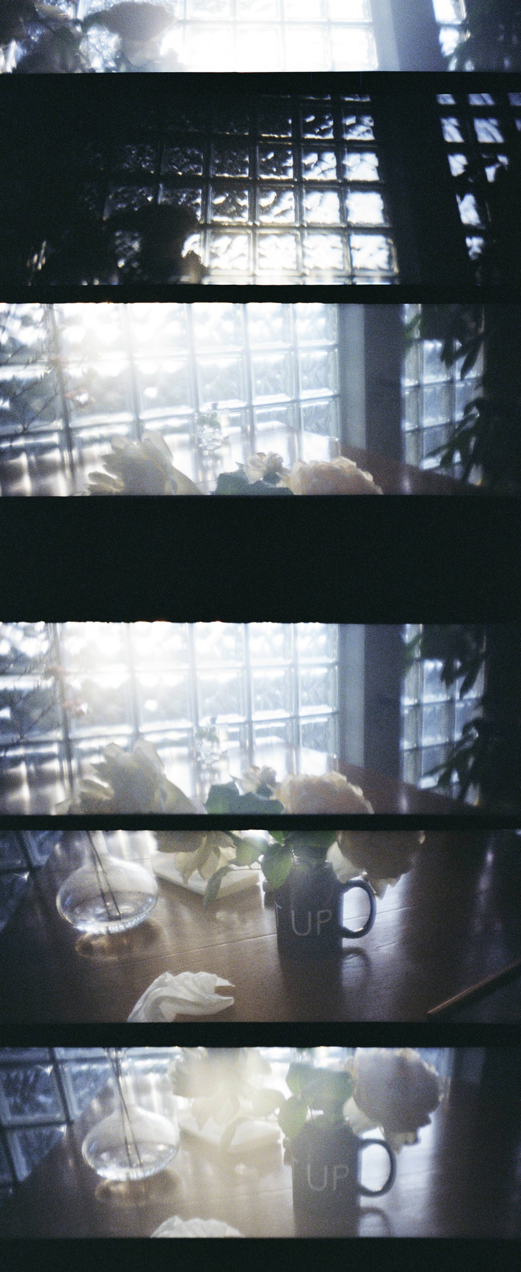 石田真澄に聞く。花を撮ること、自分の写真に向き合うこと。5つの質問