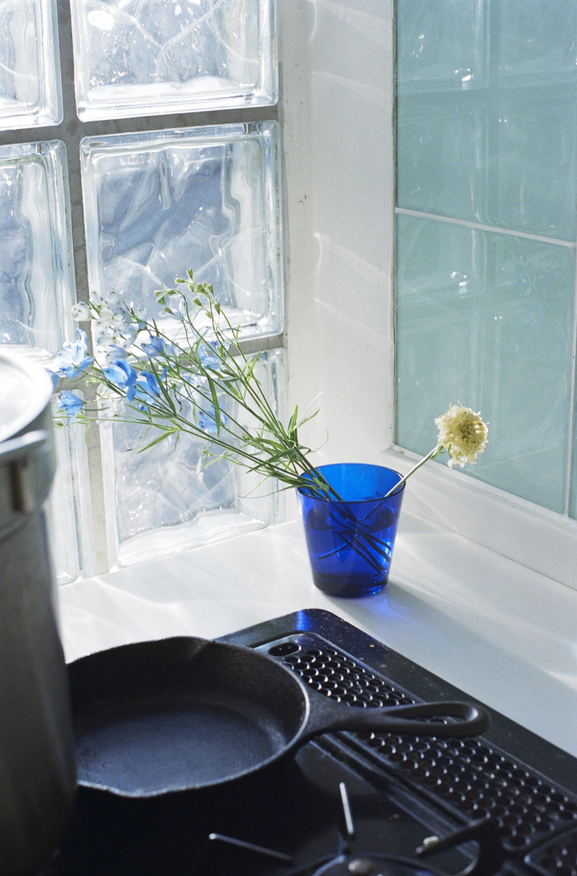 石田真澄に聞く。花を撮ること、自分の写真に向き合うこと。5つの質問