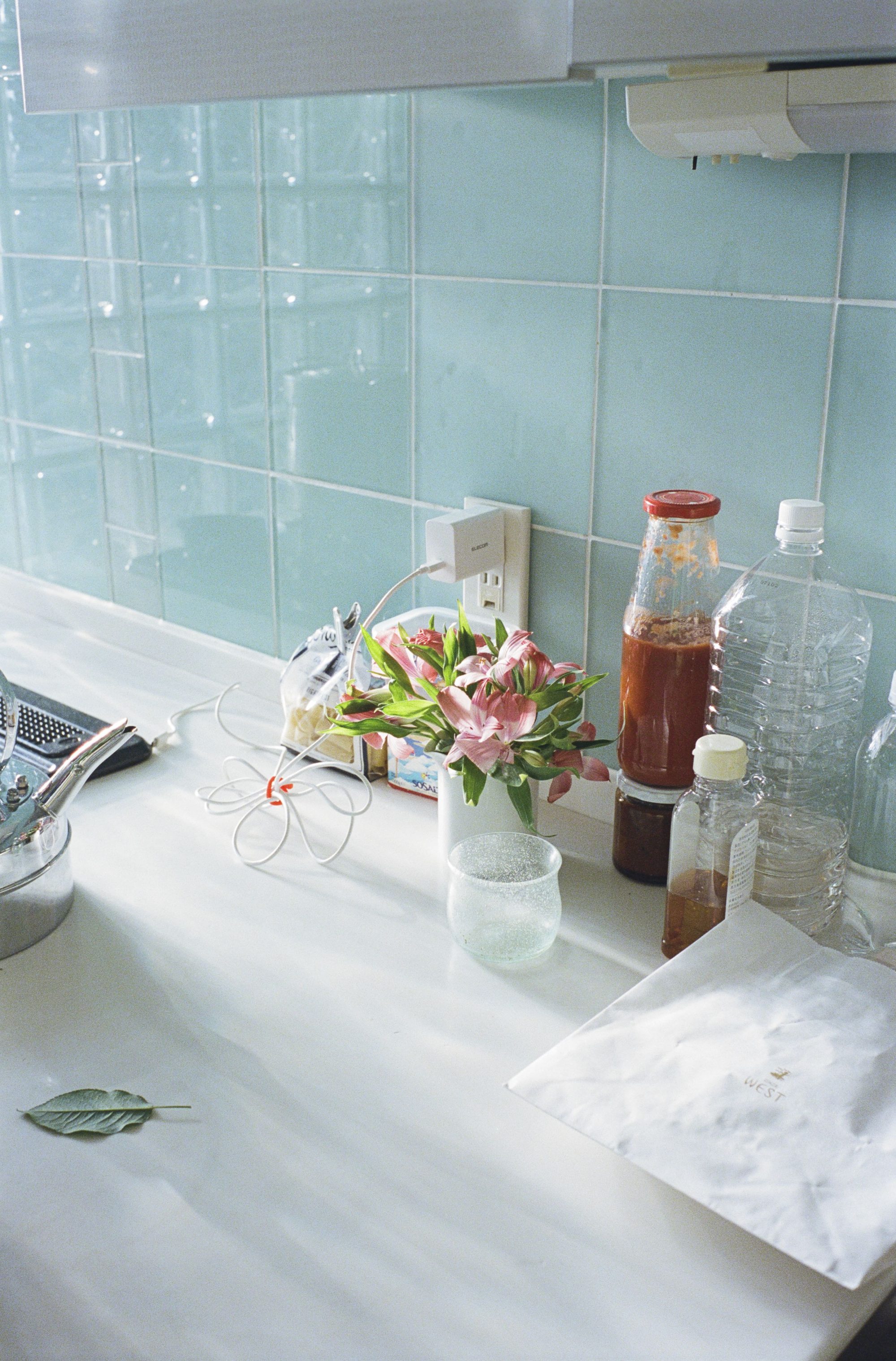 石田真澄に聞く。花を撮ること、自分の写真に向き合うこと。5つの質問