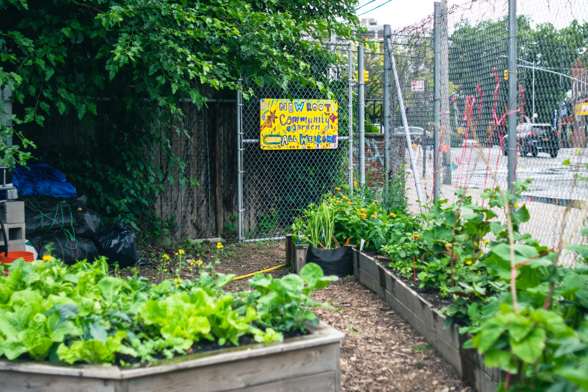 シャドーフェミニズムズ講座とコミュニティガーデン／遠藤麻衣