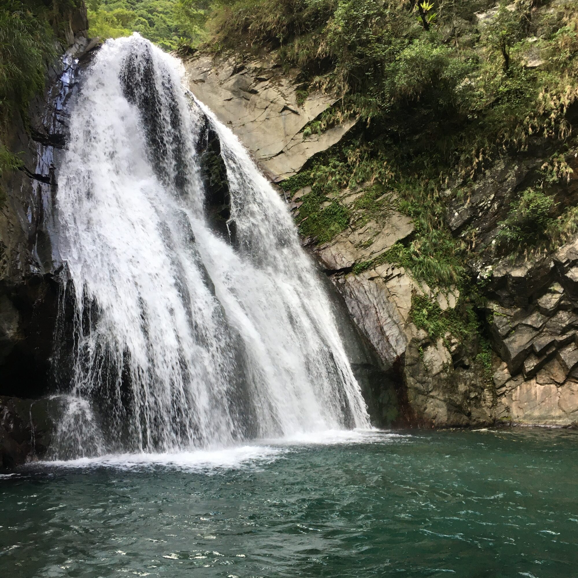 Joy to the World／燈里