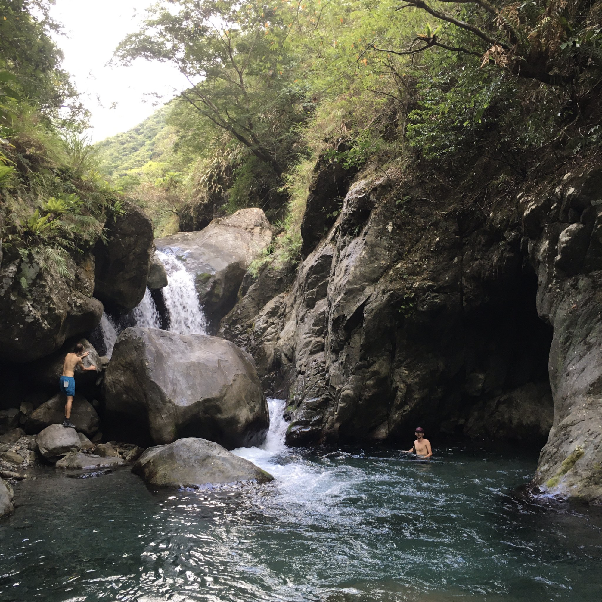 Joy to the World／燈里