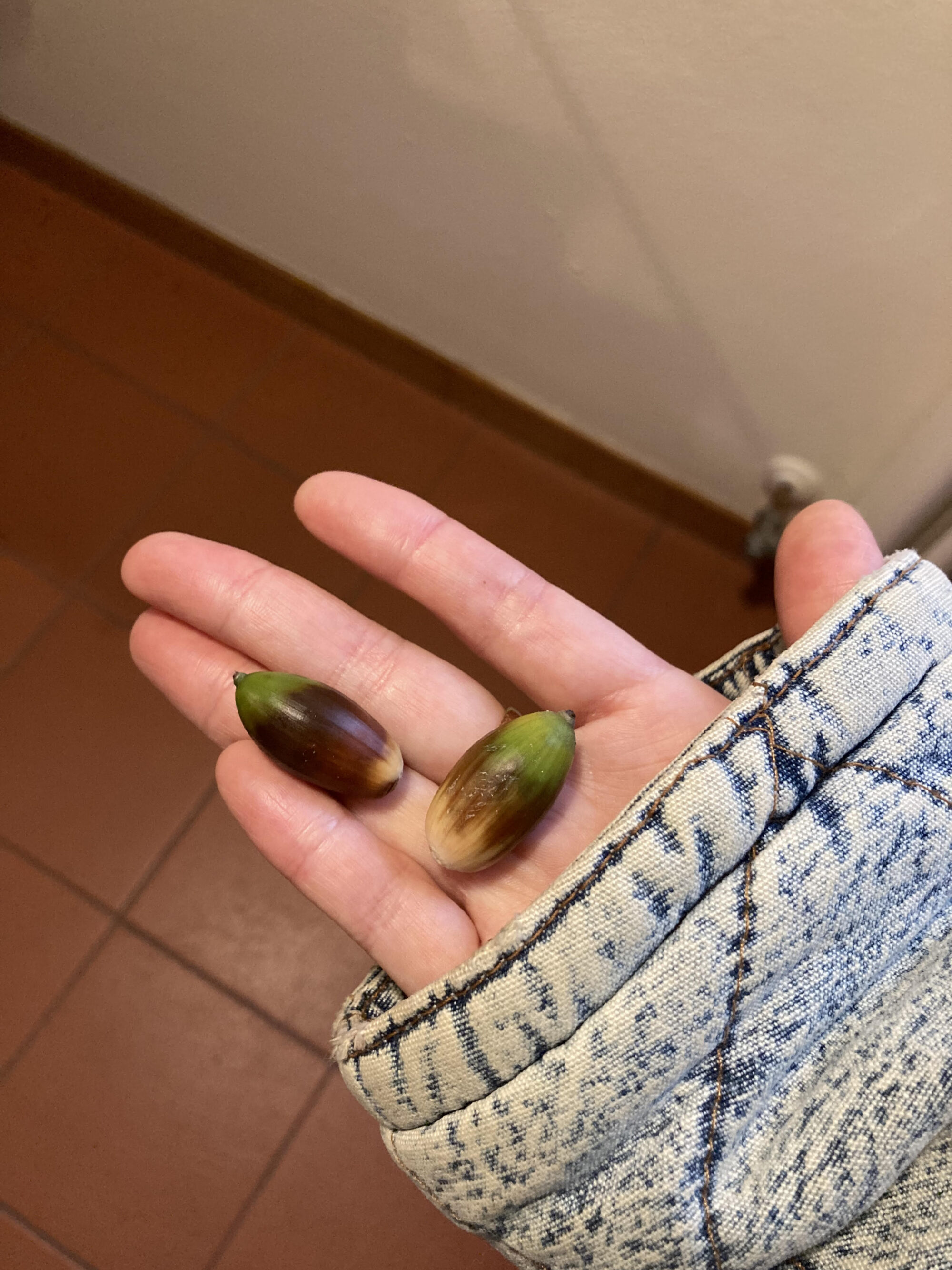 深夜の栗、ラーメン屋、赤いタイツ、どんぐり、スプラッターロマンスムービーとスプラッターマフラー /大道寺梨乃