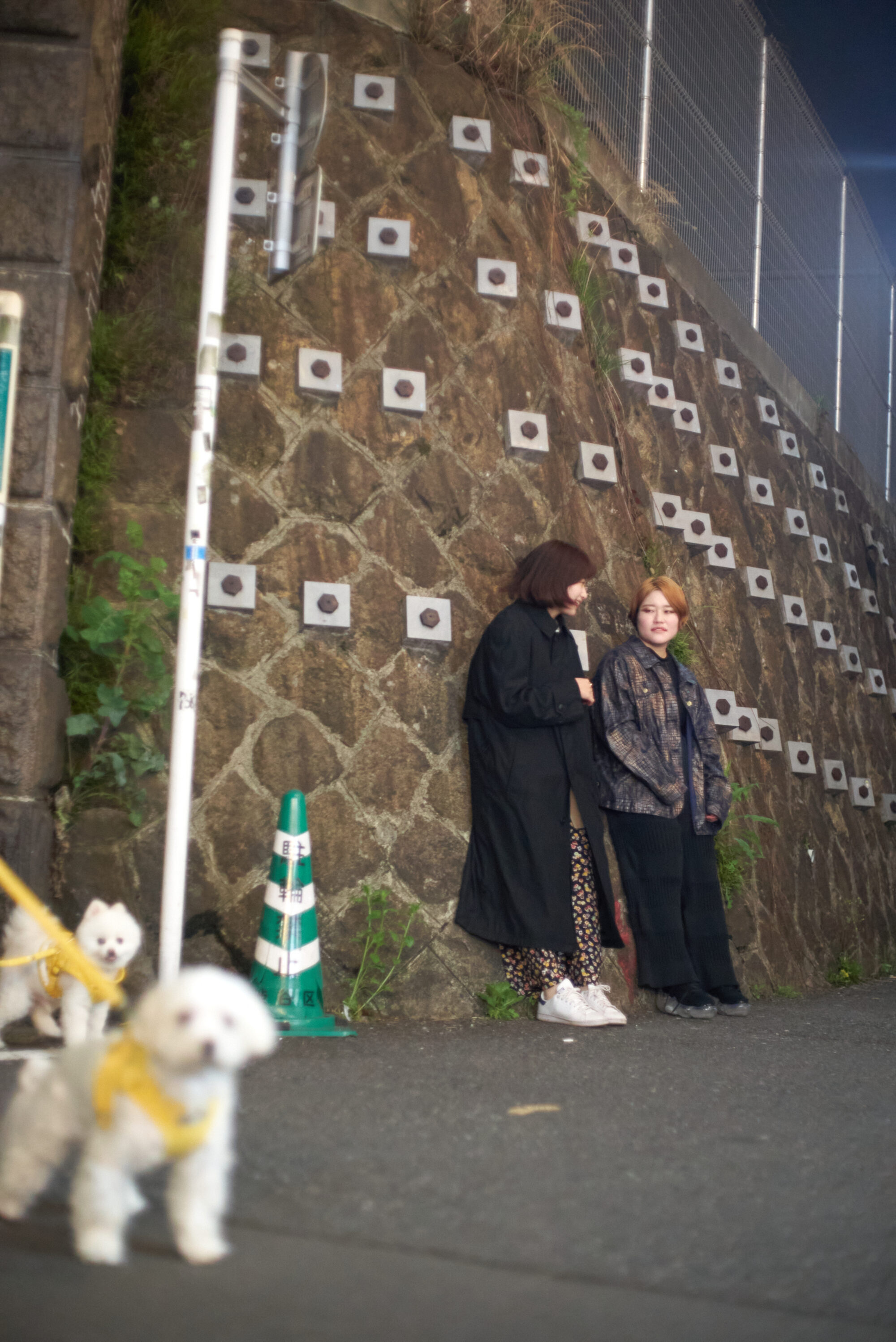 金子由里奈✕高島鈴 「わたしたちは全然大丈夫じゃない」、それでも生きていく