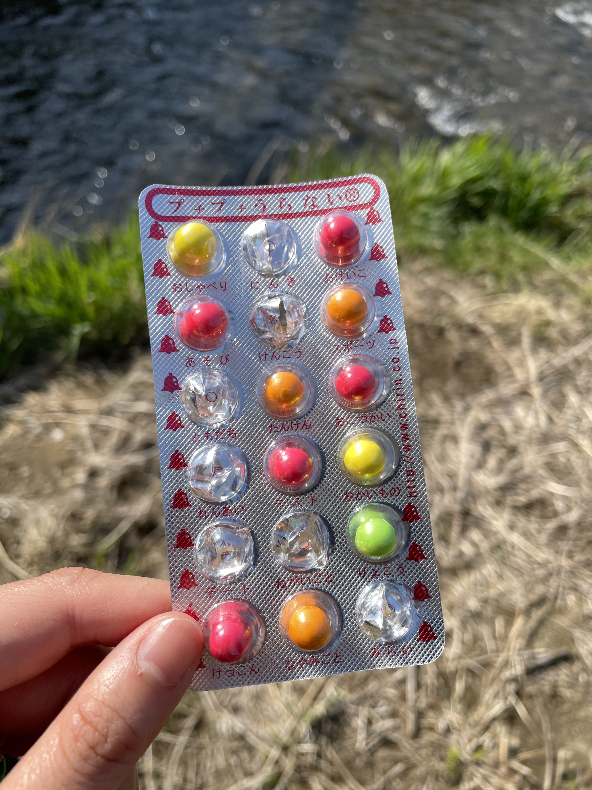 恋愛関係なしで、パートナーシップを築く実験