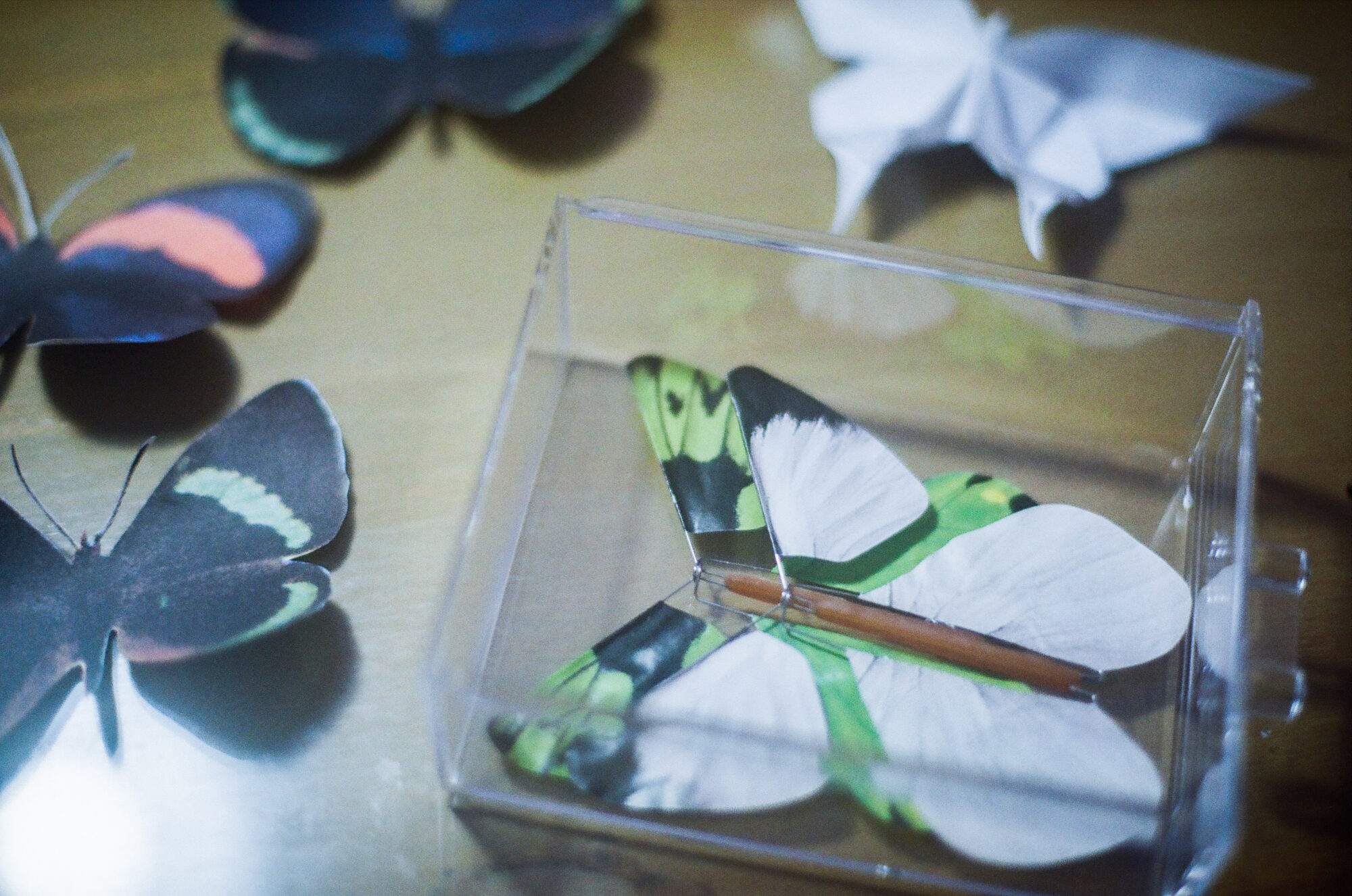 趣味の「切り貼り」から実験映像制作へ。コラージュ作家neneインタビュー