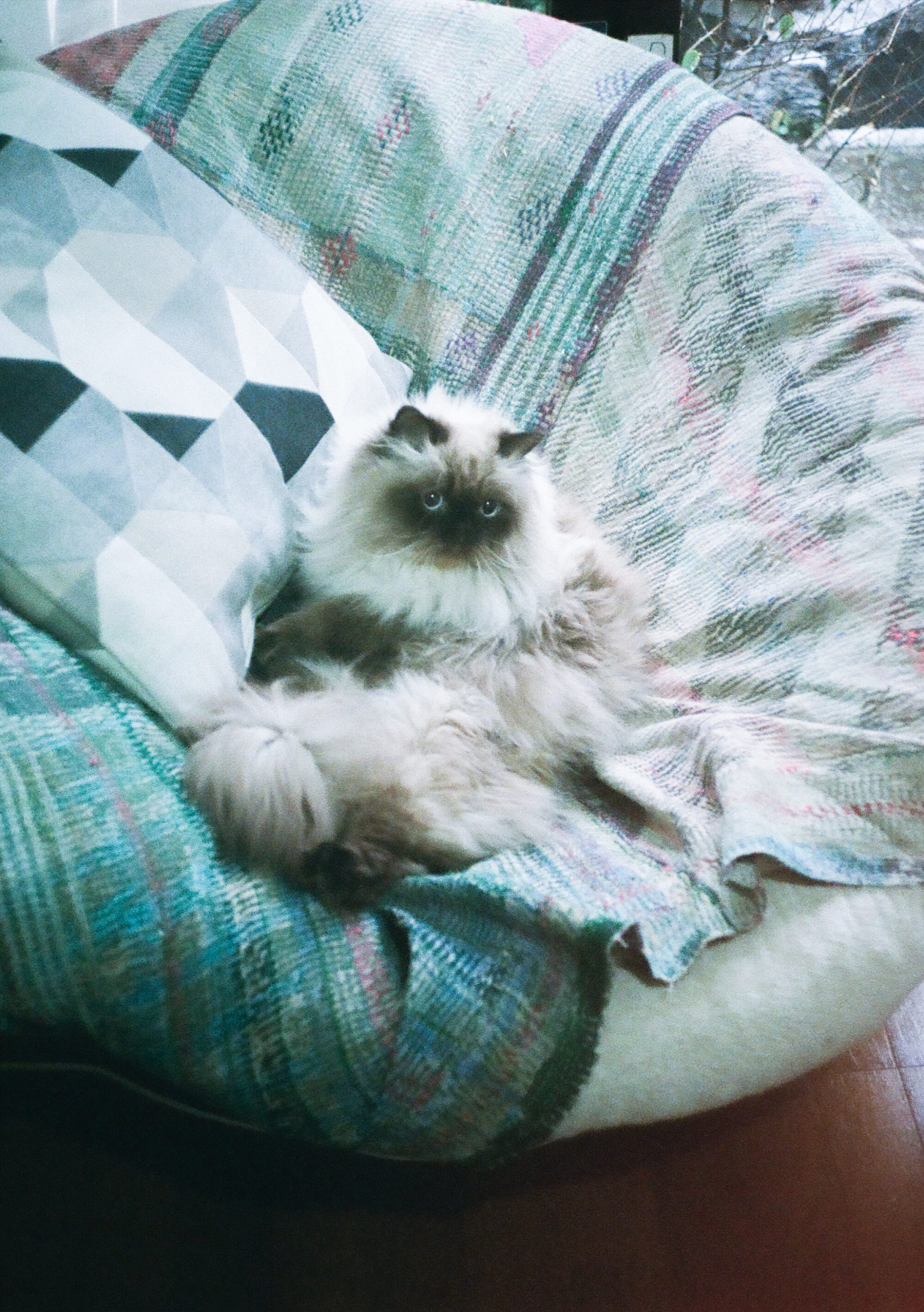 趣味の「切り貼り」から実験映像制作へ。コラージュ作家neneインタビュー