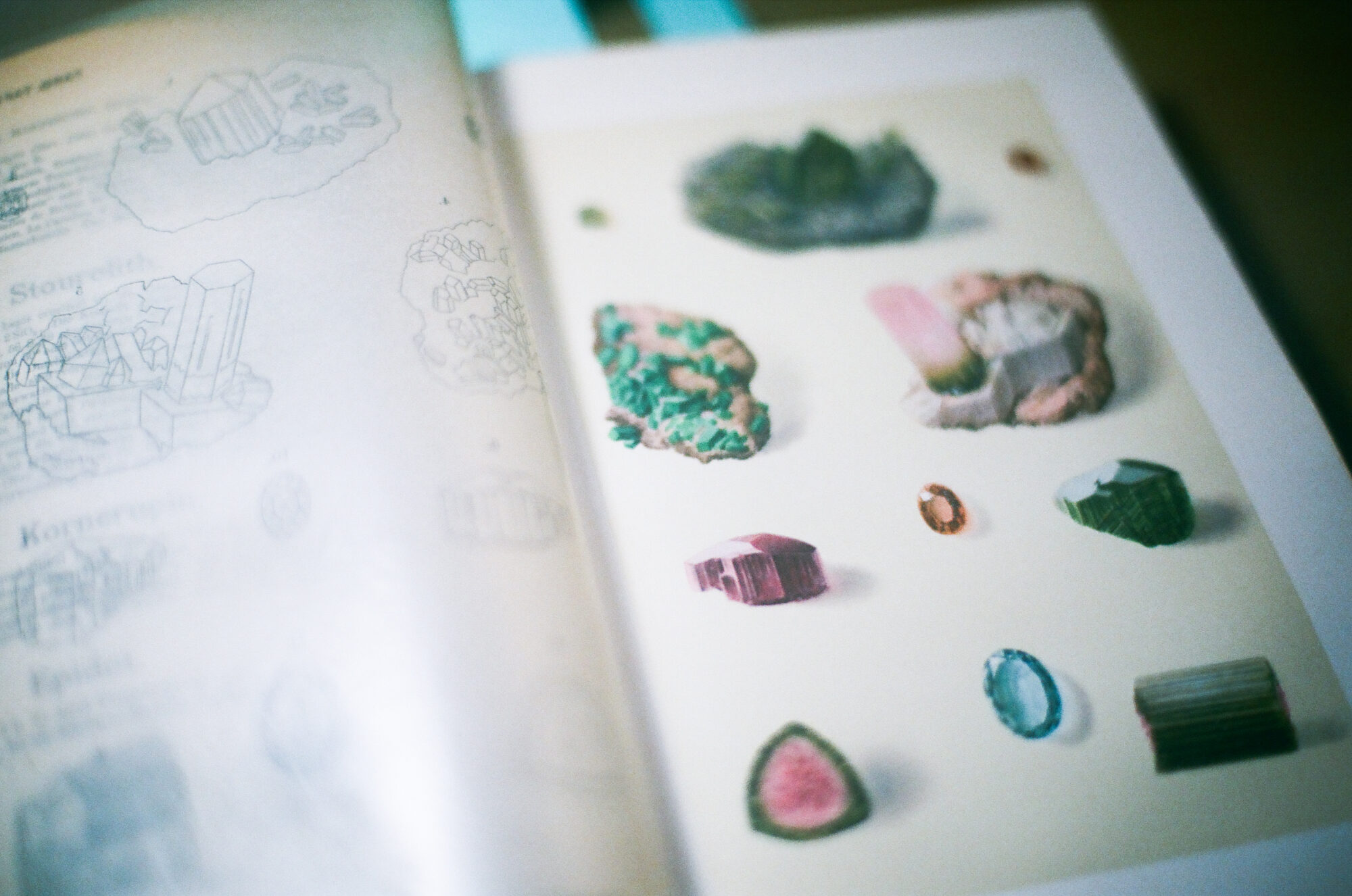 趣味の「切り貼り」から実験映像制作へ。コラージュ作家neneインタビュー