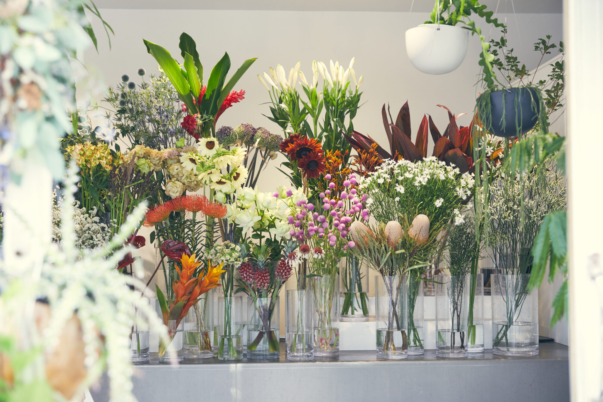 広告業界から花屋・IT業界へ。元同僚の橘優子と古田理恵が語らう「女性と仕事」