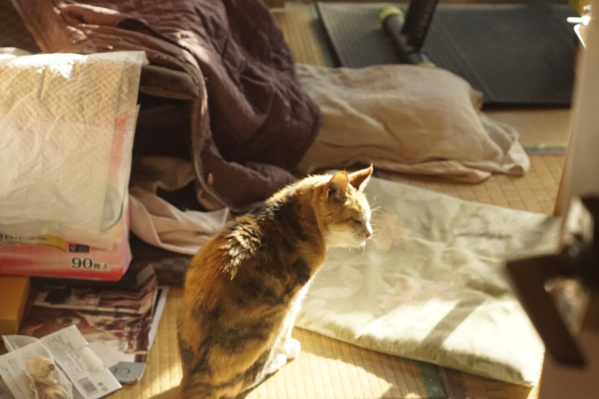 漫画を描くことが、この世界での私の機能として、適切みの強い行いだと思った／とれたてクラブ