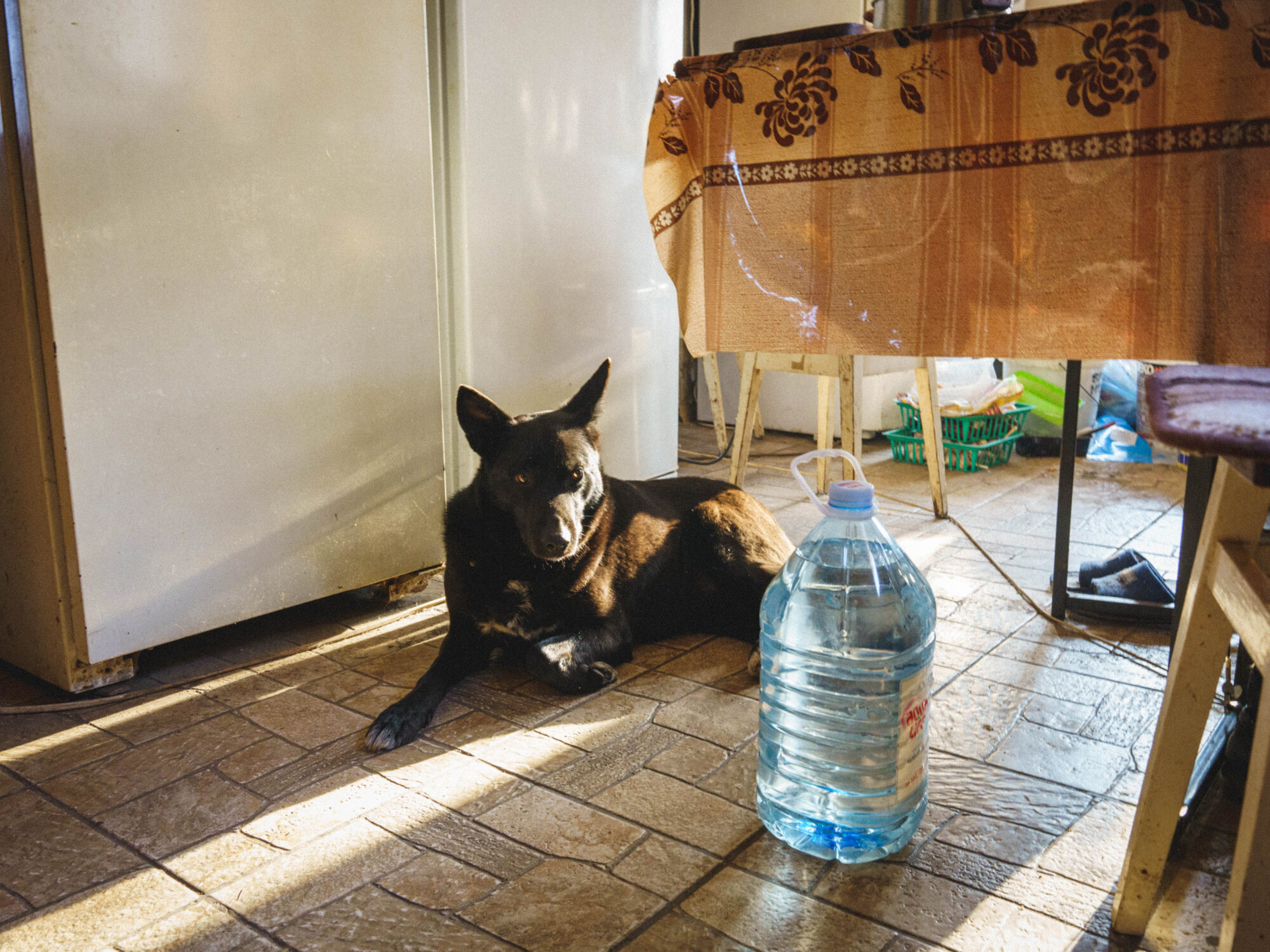 だれかから聞いたことのある戦争のはなし。24人の声