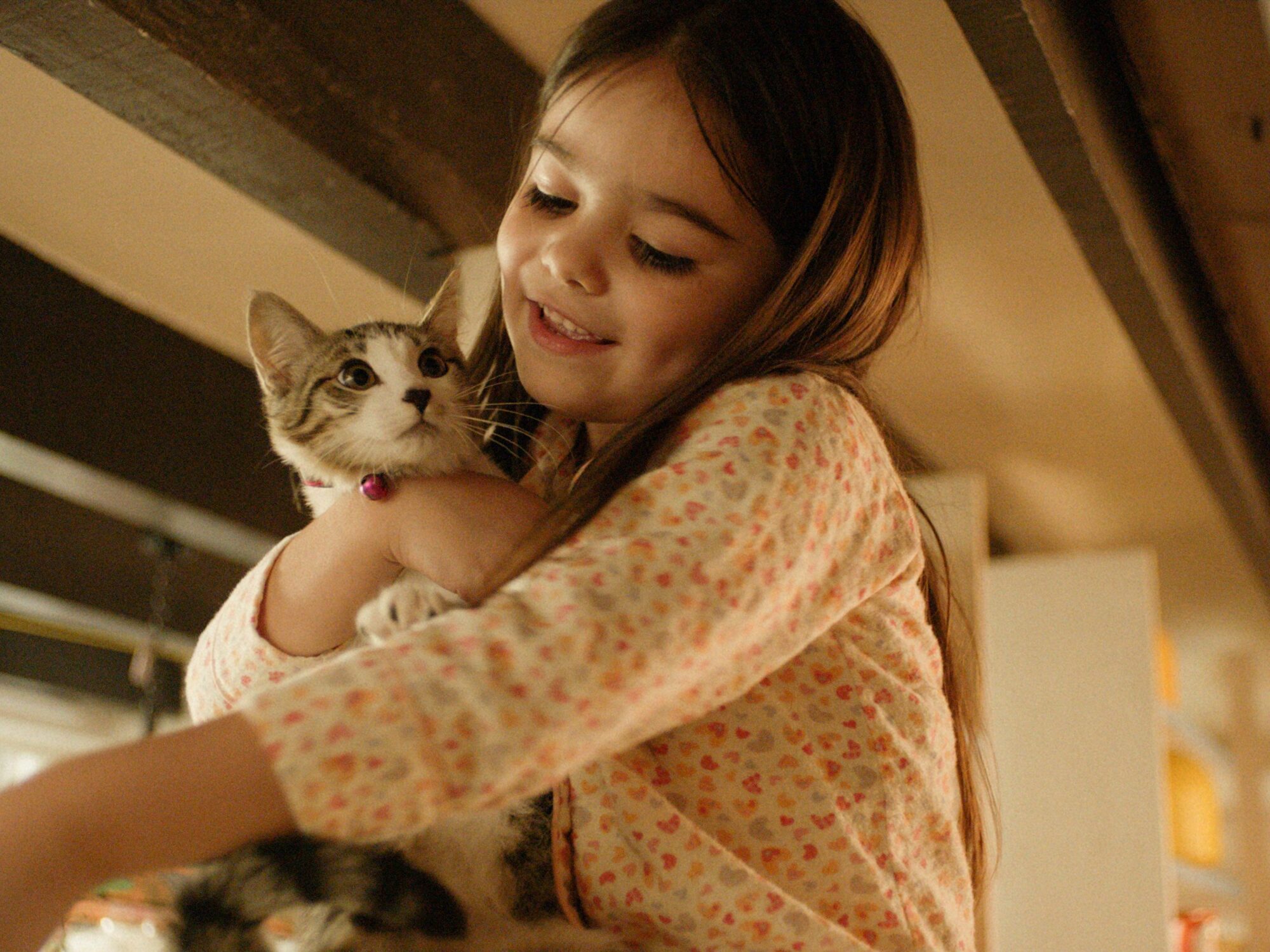 ただ祈ることの力強さ、揺るぎなさ『夏の終わりに願うこと』