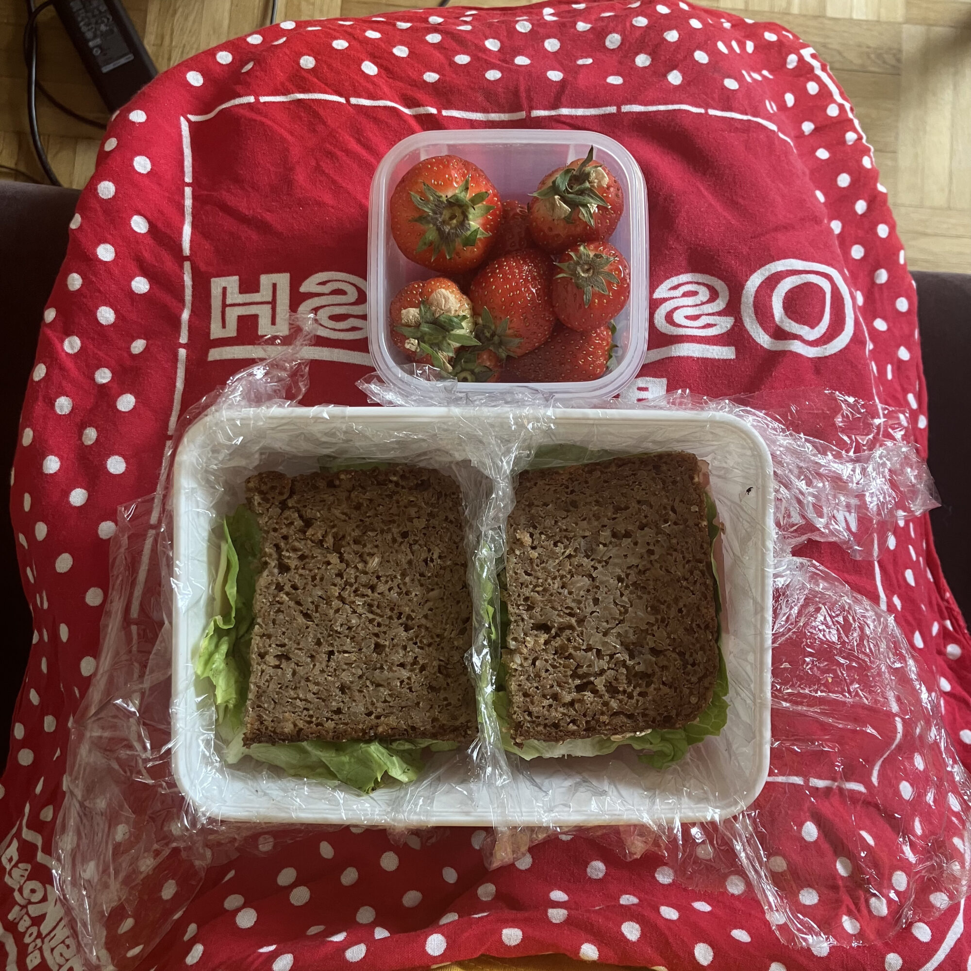 染色という仕事に再会することができたベルリンで／SALLY