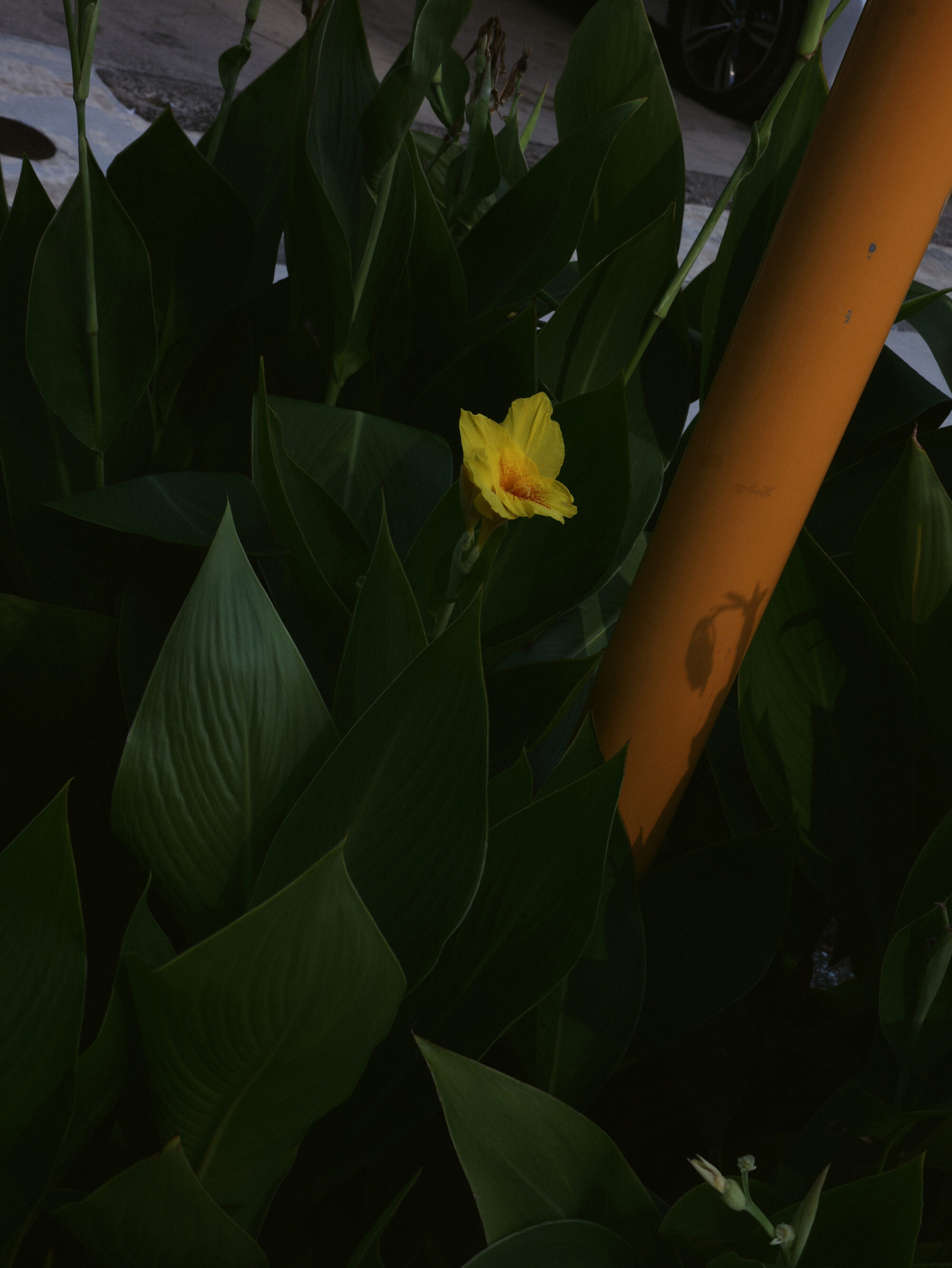 斎藤真理子さんと話したい。「生きていくの大変じゃないですか？」