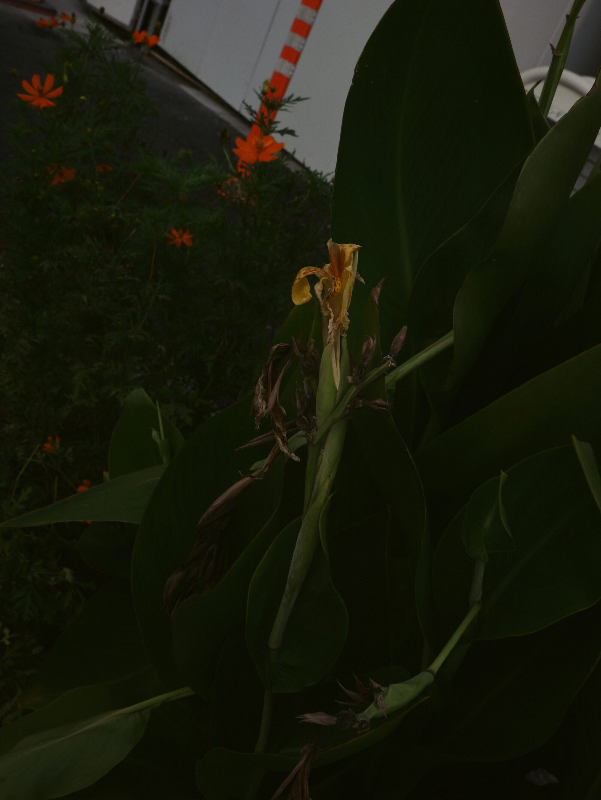 斎藤真理子さんと話したい。「生きていくの大変じゃないですか？」