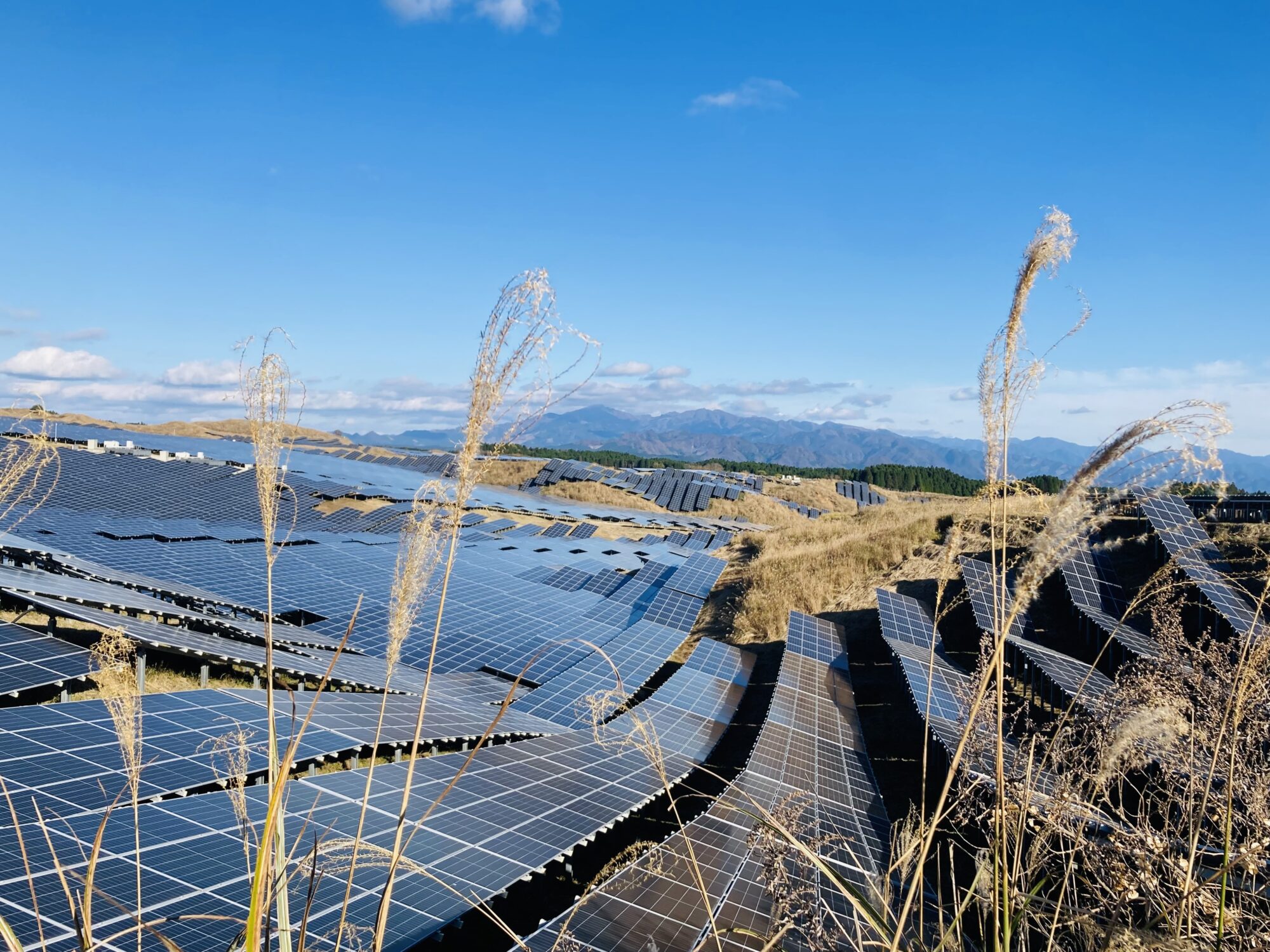 気候変動は生活と地続き。食べて話してつながる「地球のため わたしのため」レポ