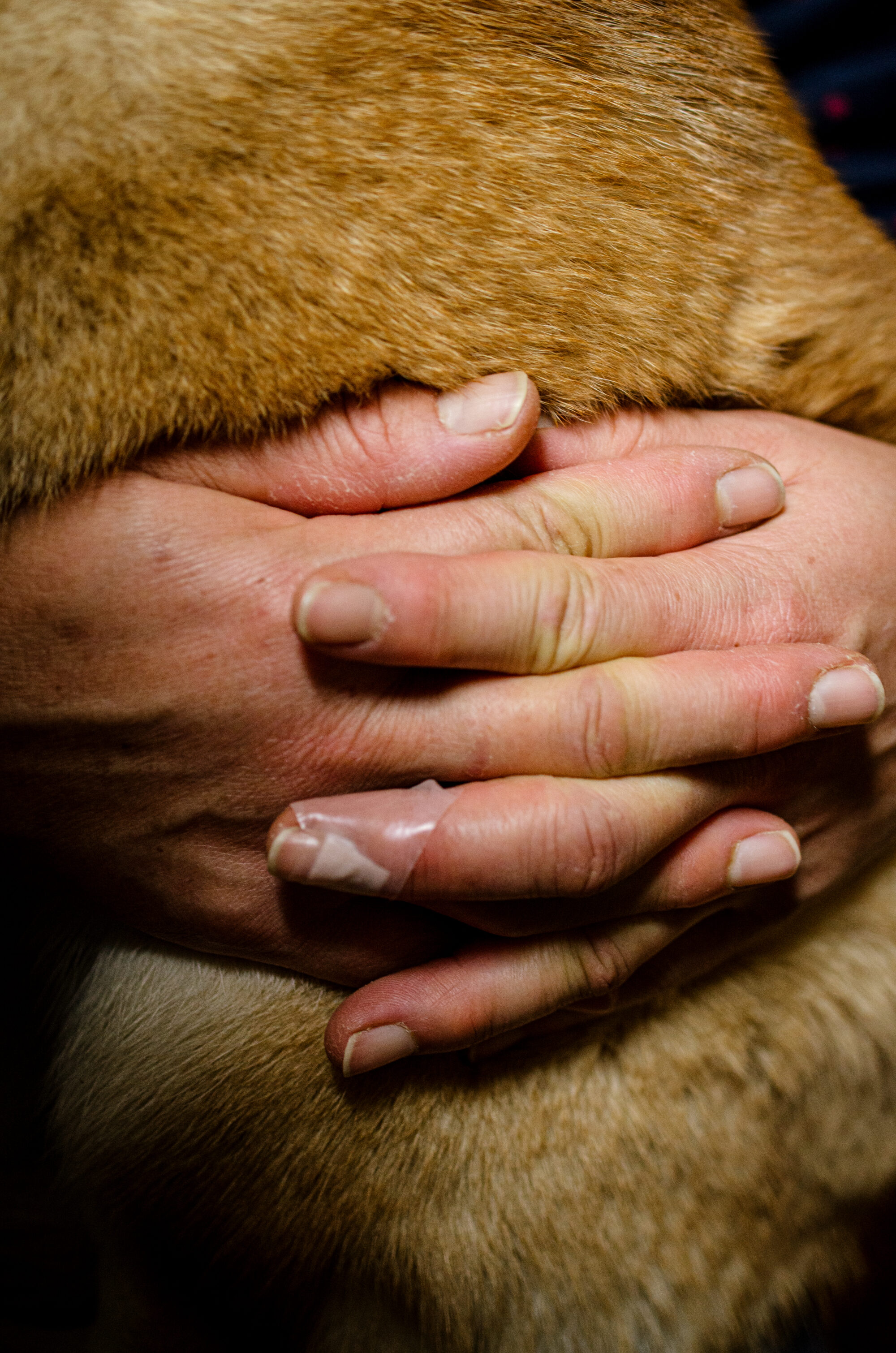 写真家・北田瑞絵「撮らない選択もまた写真行為だろう、と信じている」