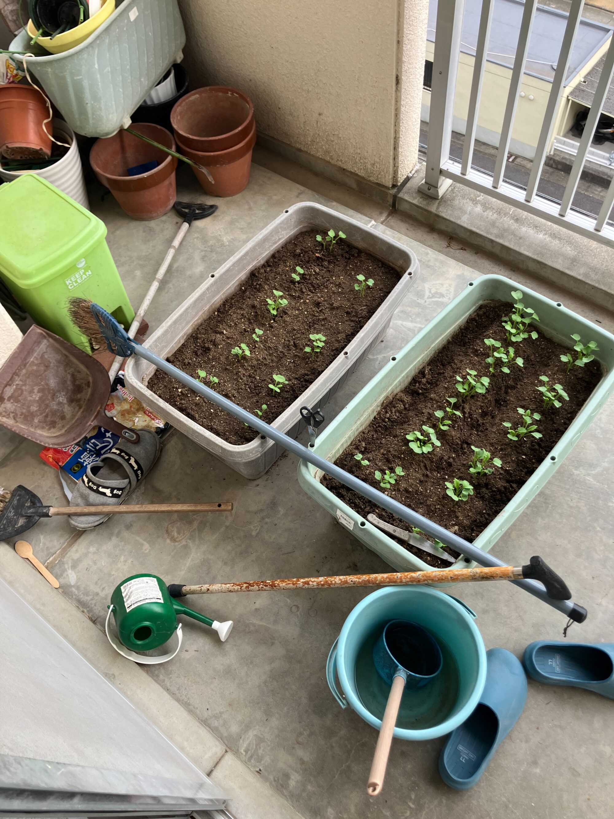 曾祖母、祖母、母から受け継ぐもの：「フェミニズム」を武器にしないために／森川麗華