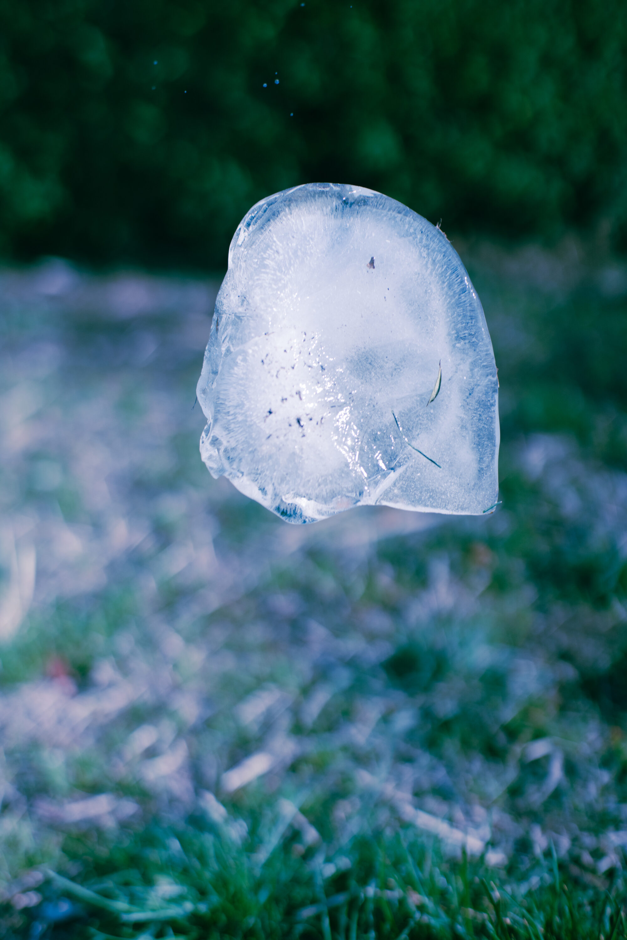 写真家・澤田詩園　写真を通じて、他者の過去や消えた記憶を再現する