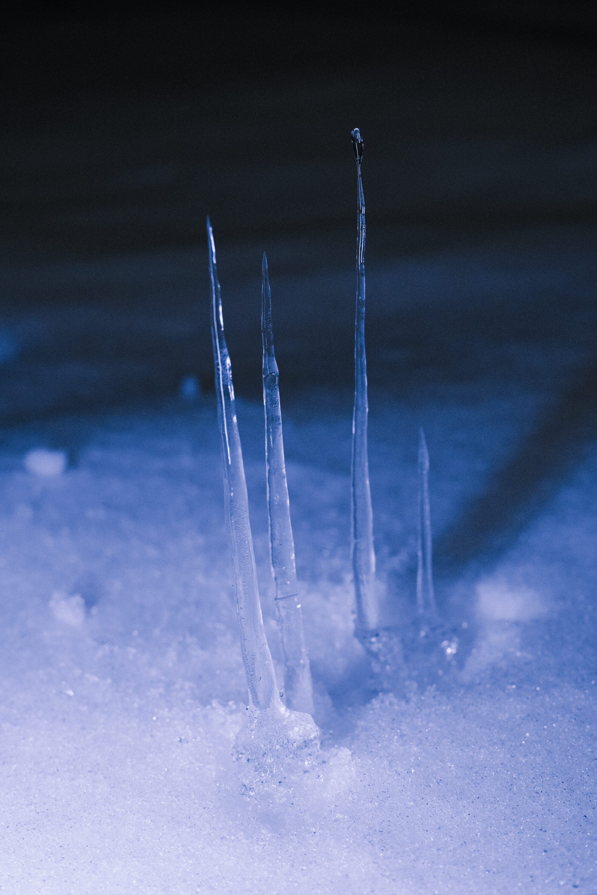 写真家・澤田詩園　写真を通じて、他者の過去や消えた記憶を再現する