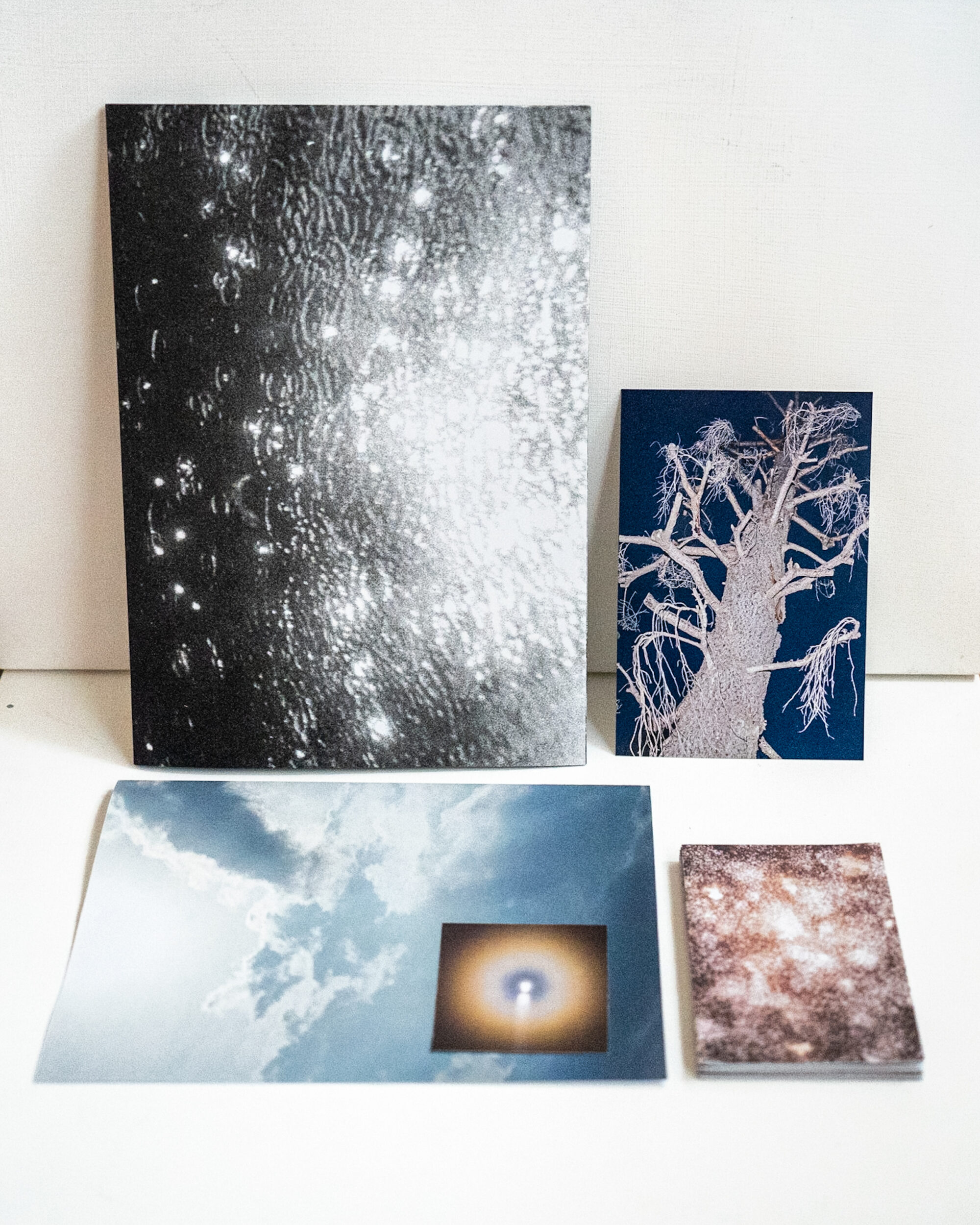 写真家・ソノダノア　「生きていることの証明」として、Zineをつくり続ける