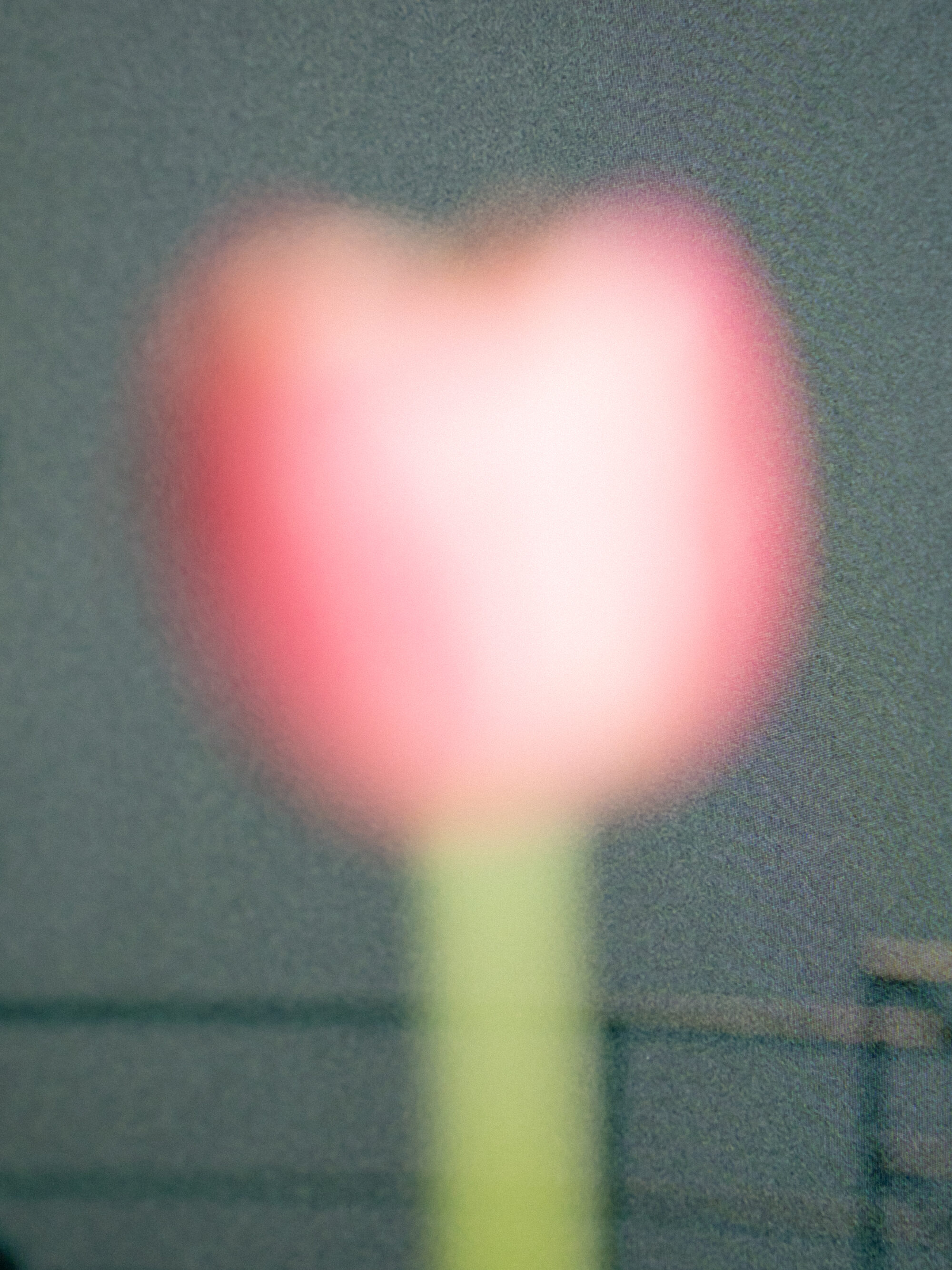 写真家・ソノダノア　「生きていることの証明」として、Zineをつくり続ける