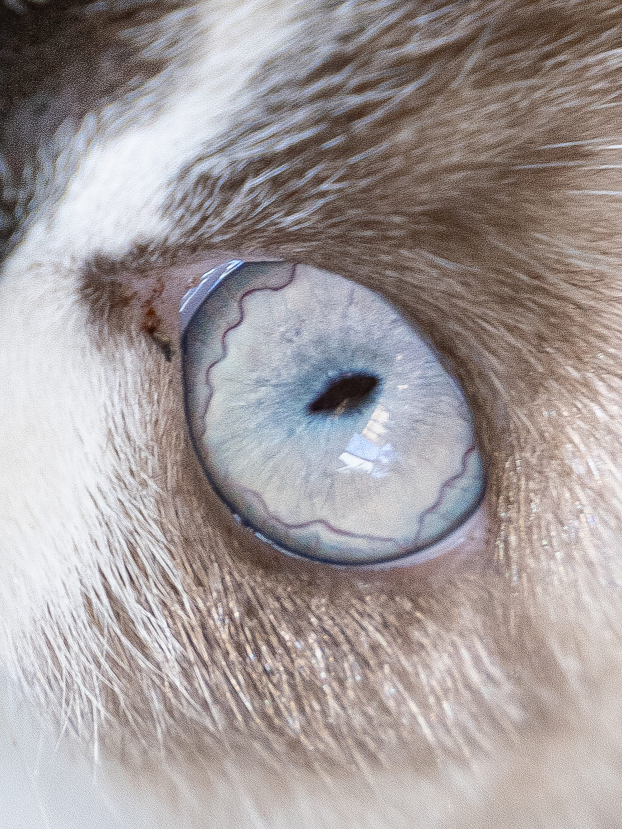 写真家・ソノダノア　「生きていることの証明」として、Zineをつくり続ける