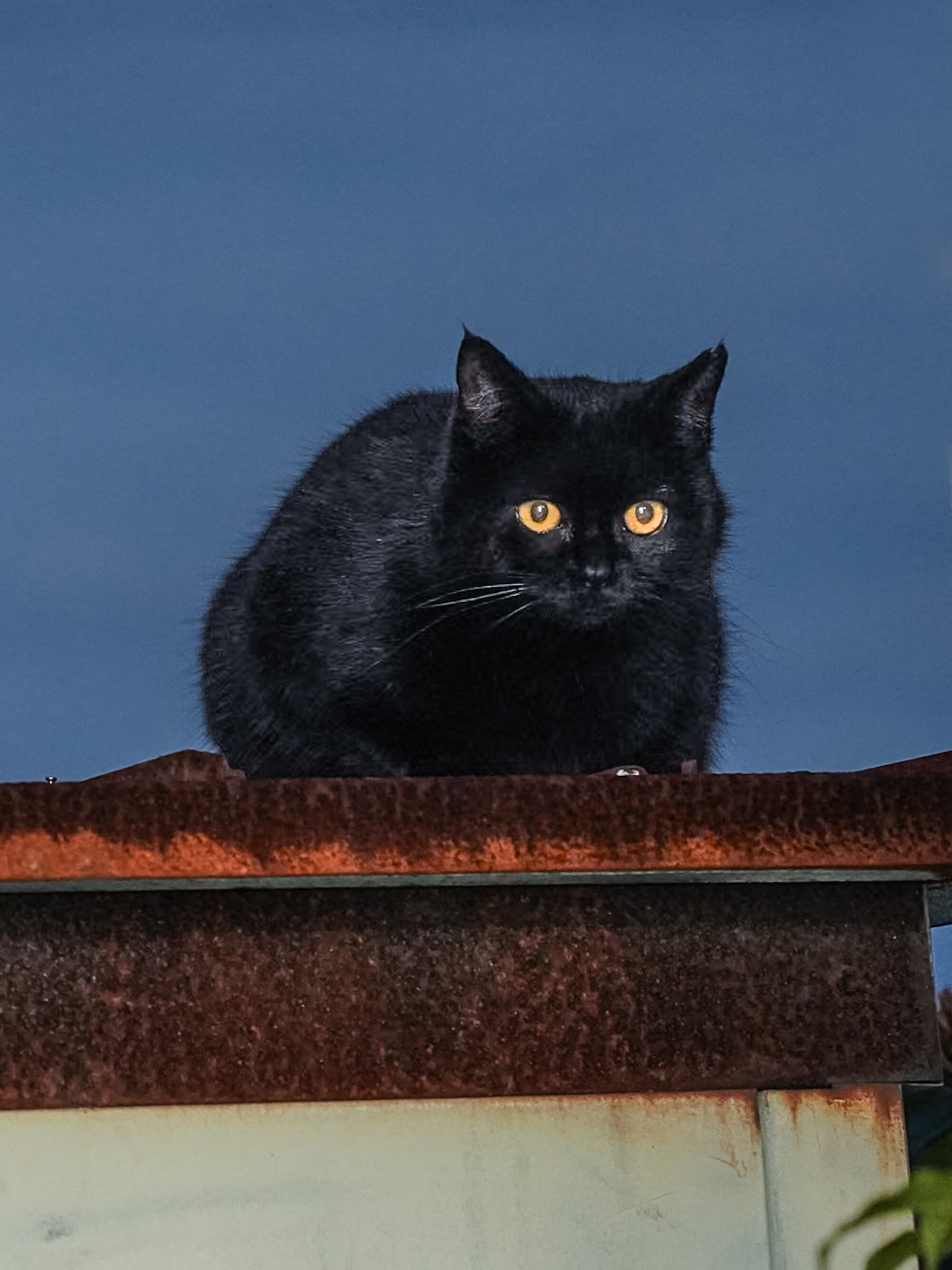 写真家・ソノダノア　「生きていることの証明」として、Zineをつくり続ける