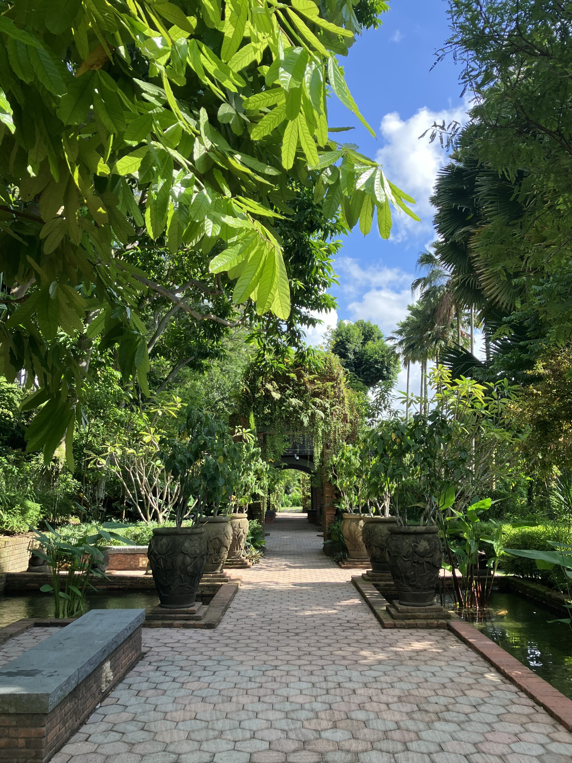 ラフレシア・捕虜の手紙・まちの張り紙／奈彩