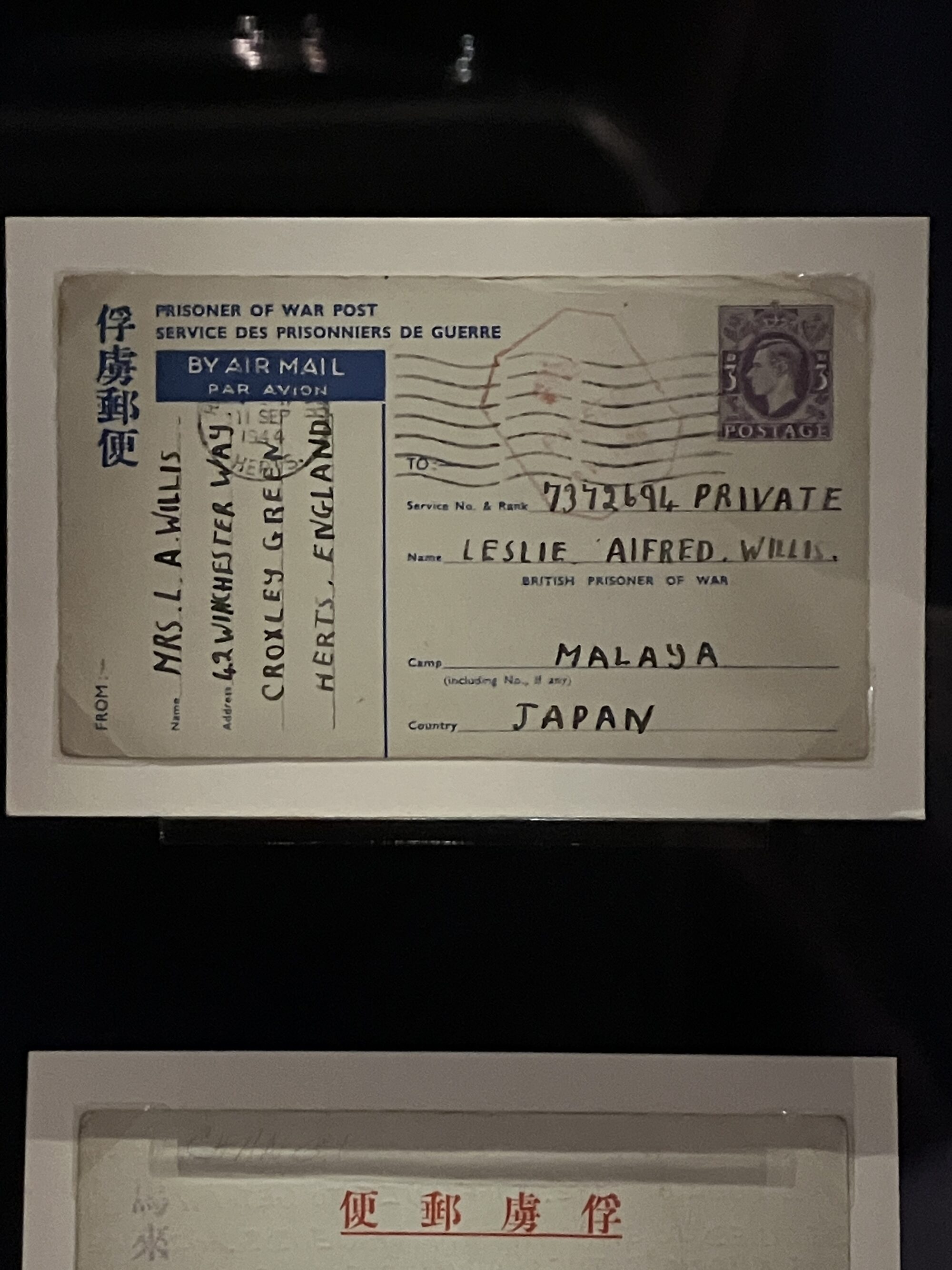 ラフレシア・捕虜の手紙・まちの張り紙／奈彩