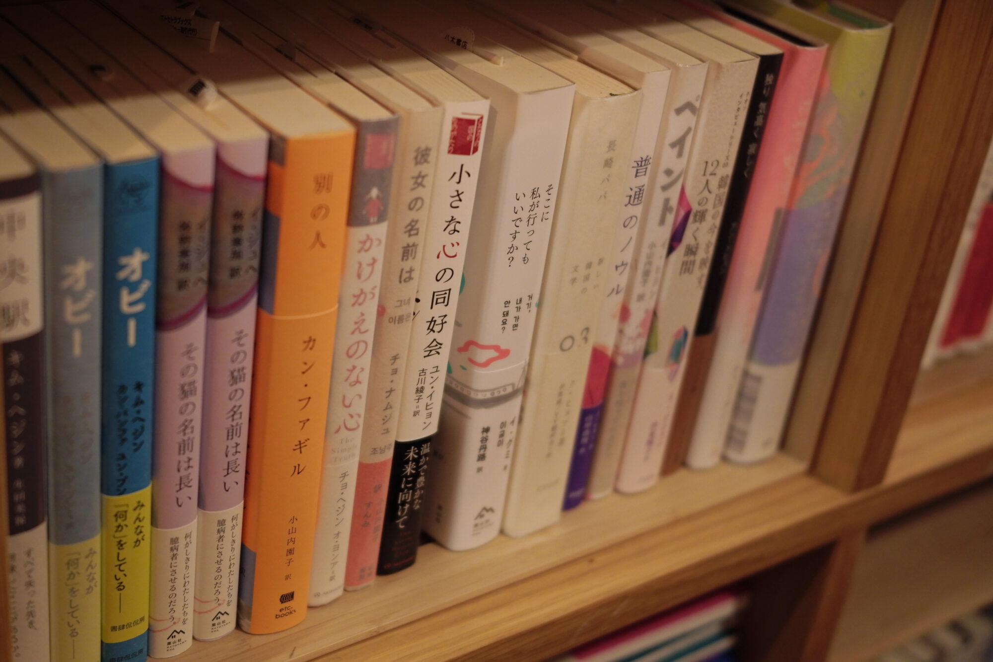 韓国の戒厳令、何が起こっていた？韓国のフェミニストの活動から学ぶ勉強会レポ