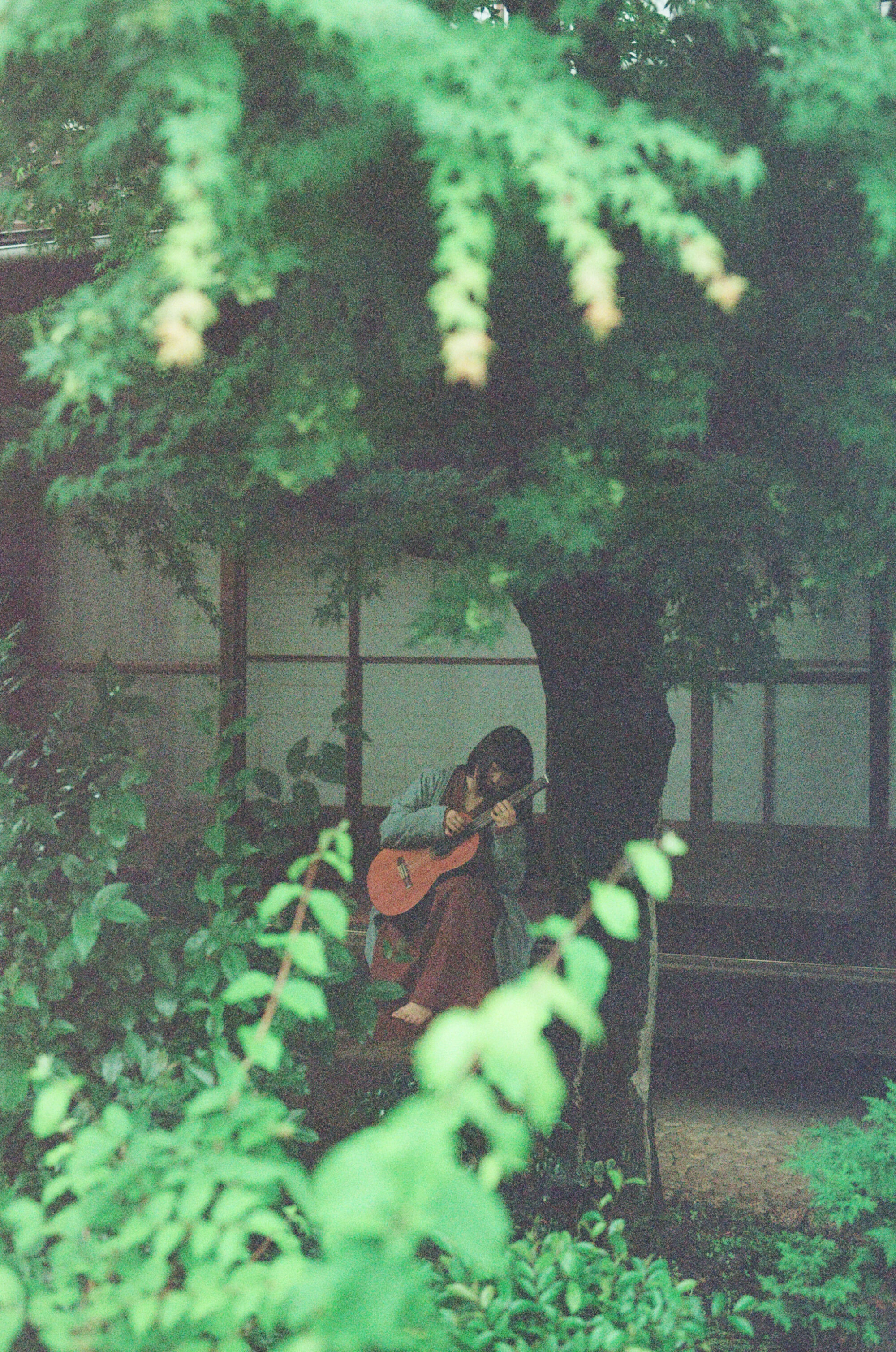 青葉市子×ミシェル・ザウナー 異なるわたしたちを音楽が包み込む。複雑な世界のなかで