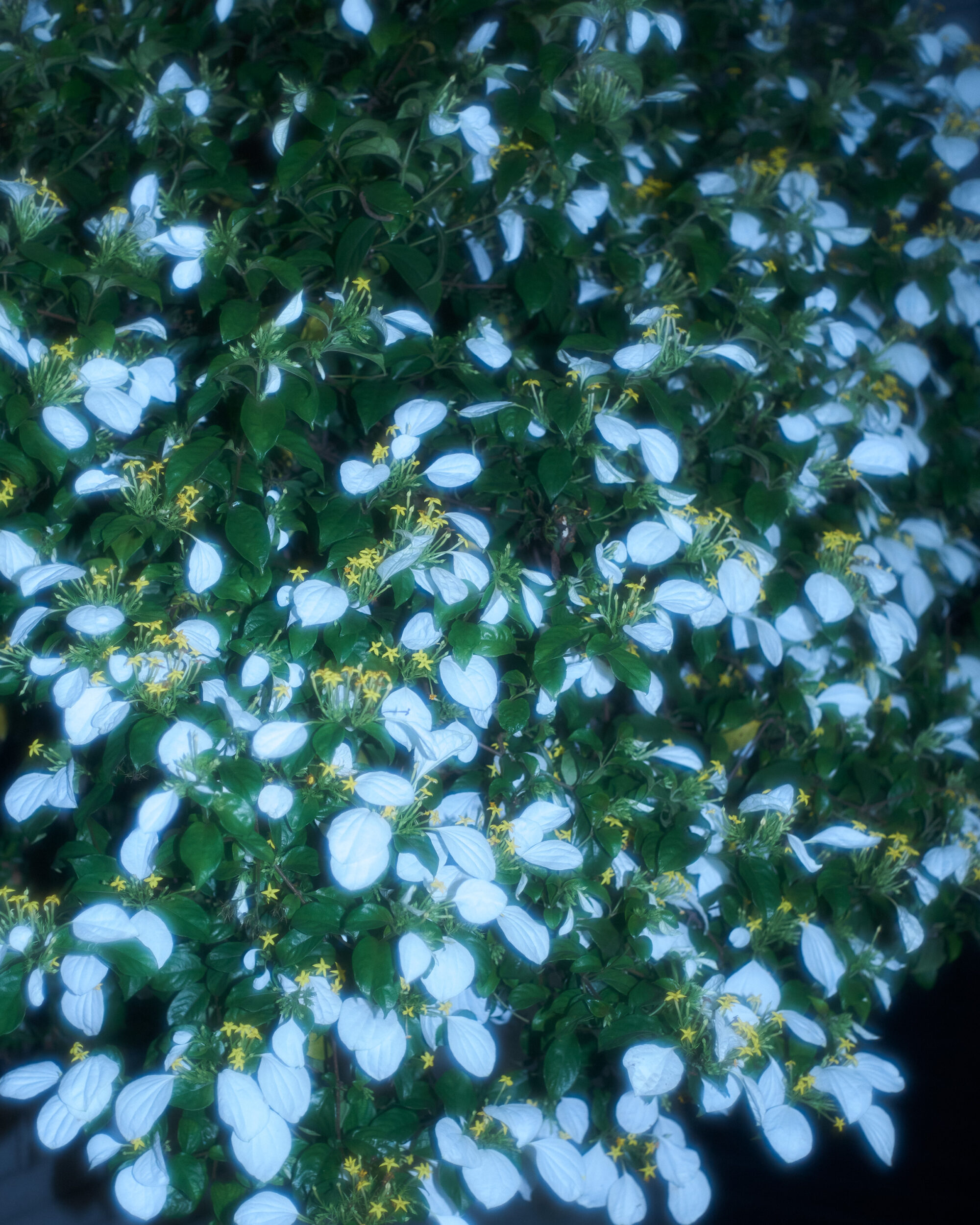 永井玲衣が考える、愛。あなたが暴力を振るわれていいはずがない。忘れられていいはずがない