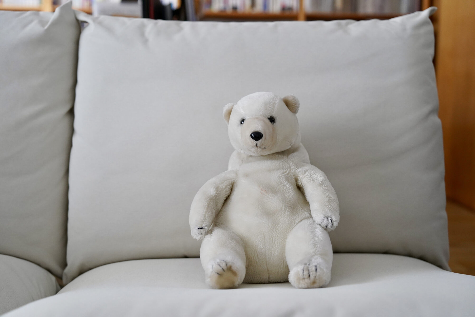 ルームメイトが子供時代を過ごした、時間を収納する家で。はらだ有彩の暮らし