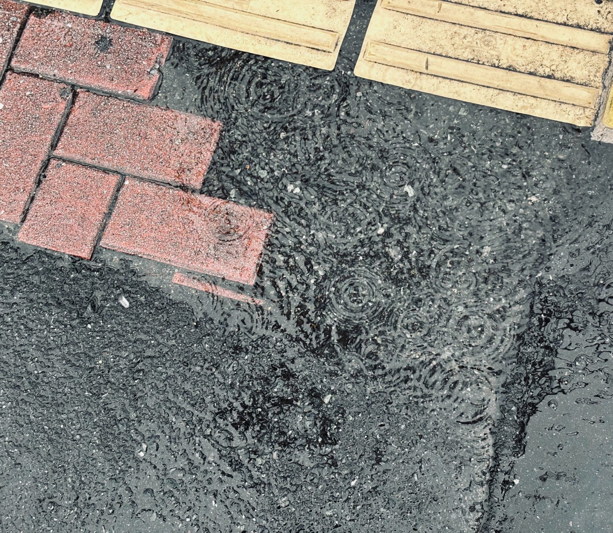 着地しないまま漂う／セメントTHING