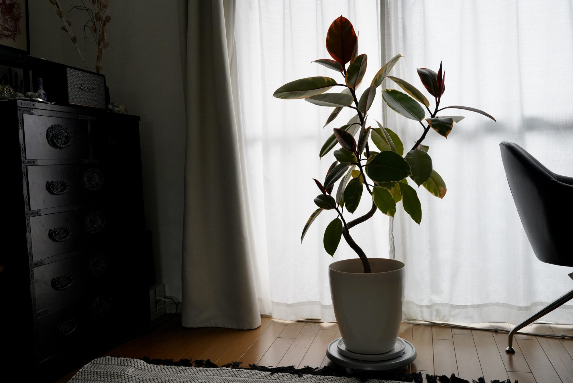 ルームメイトが子供時代を過ごした、時間を収納する家で。はらだ有彩の暮らし