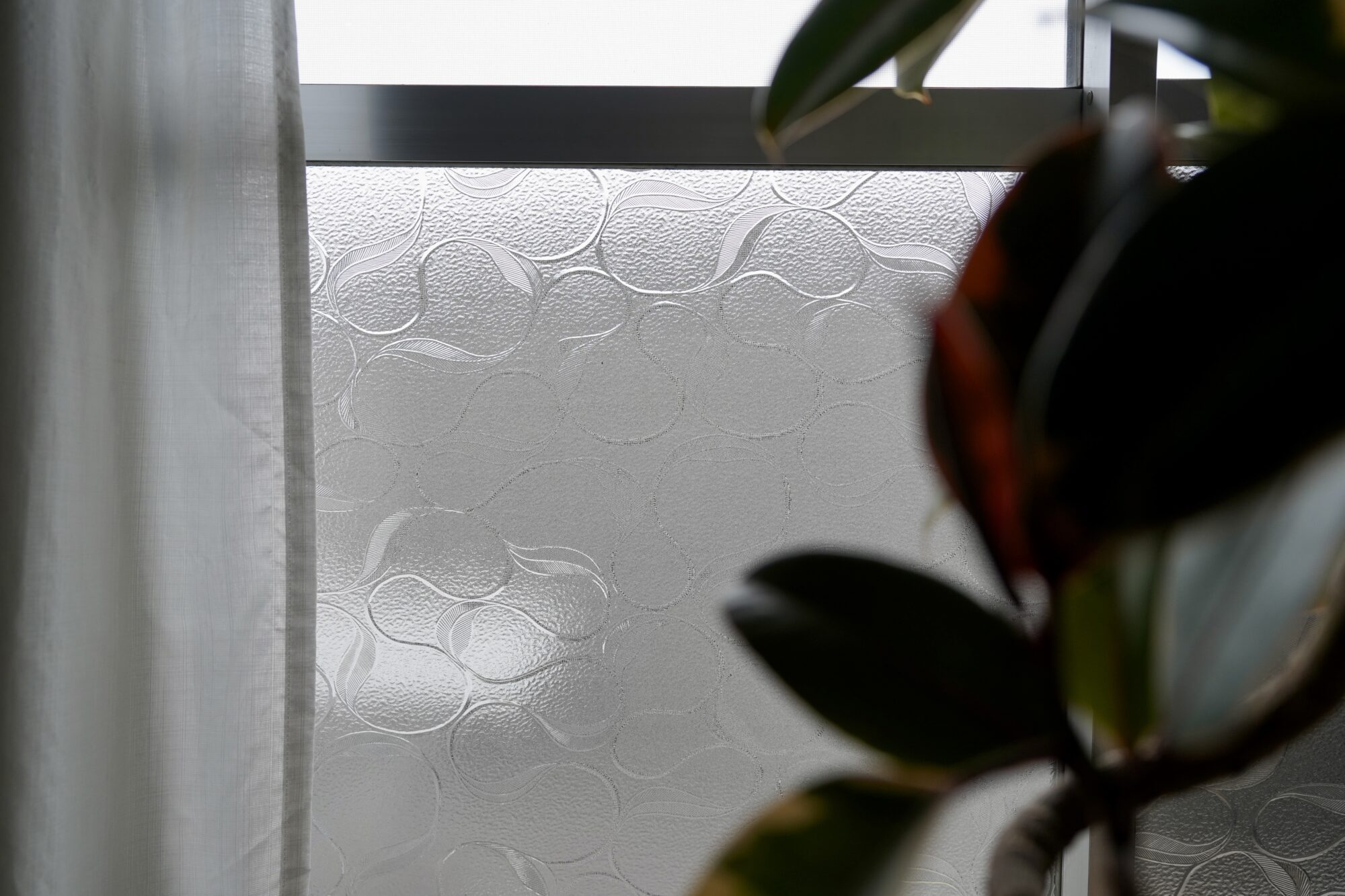 ルームメイトが子供時代を過ごした、時間を収納する家で。はらだ有彩の暮らし